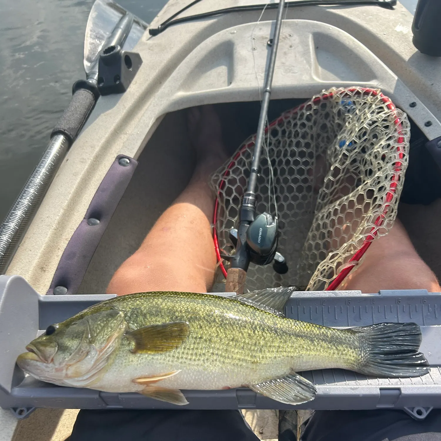 Largemouth bass caught on Fishbrain