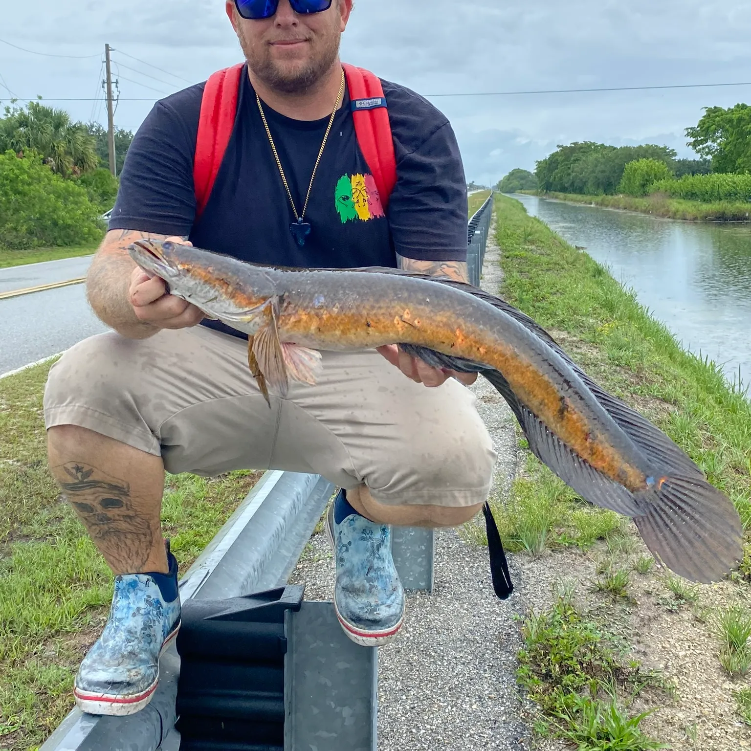 The most recent Bullseye snakehead catches on Fishbrain