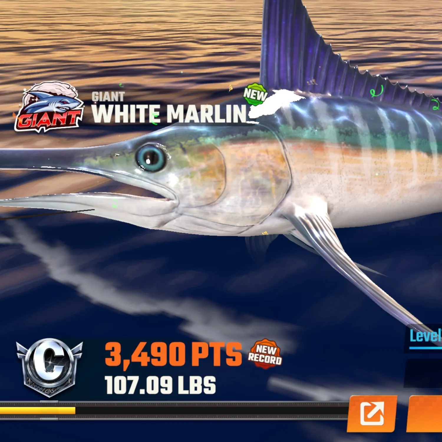 recently logged catches