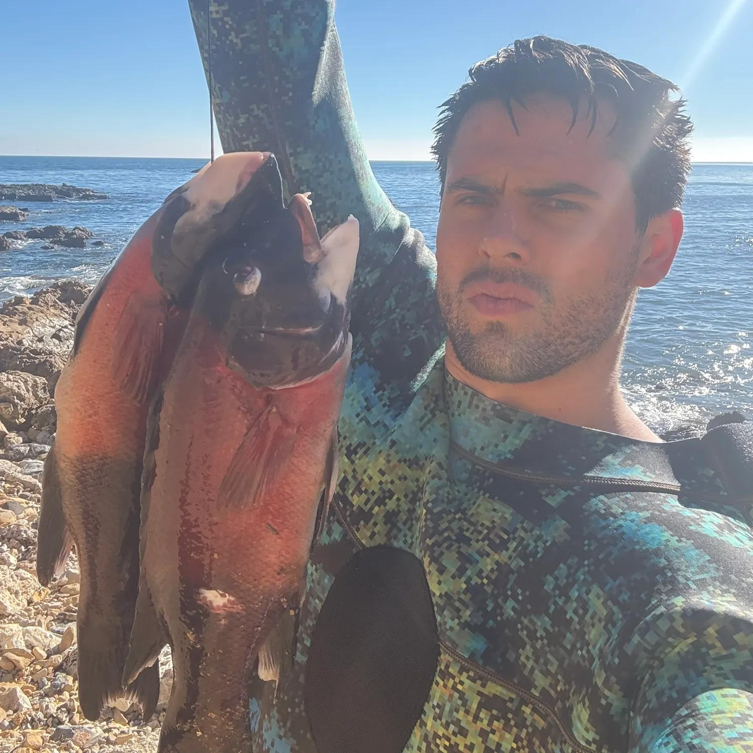 The most recent California sheephead catches on Fishbrain