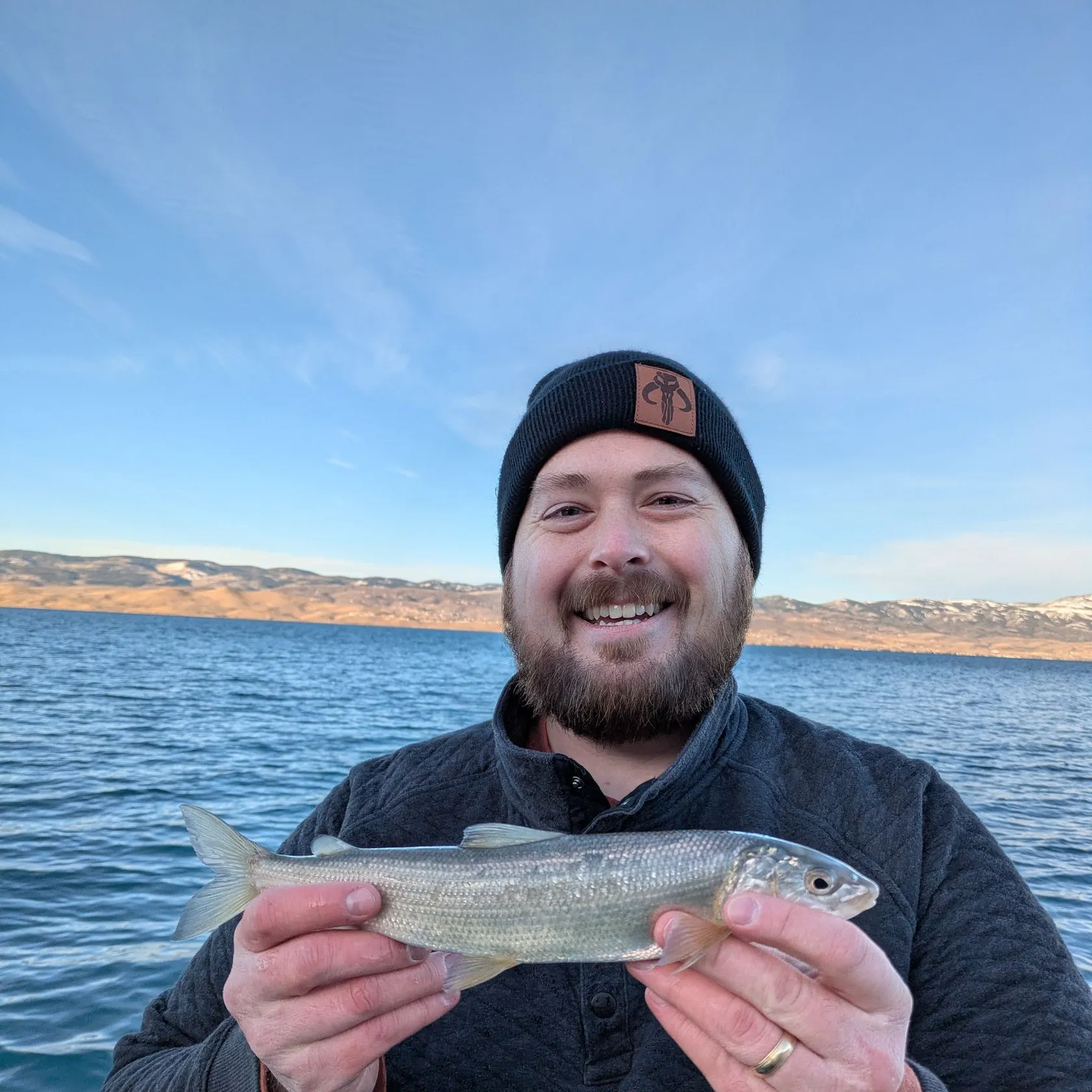 The most recent Bonneville whitefish catches on Fishbrain