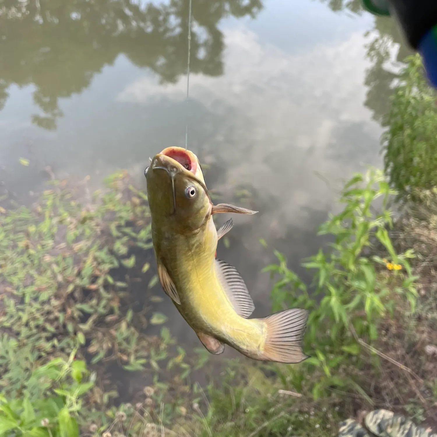 catch