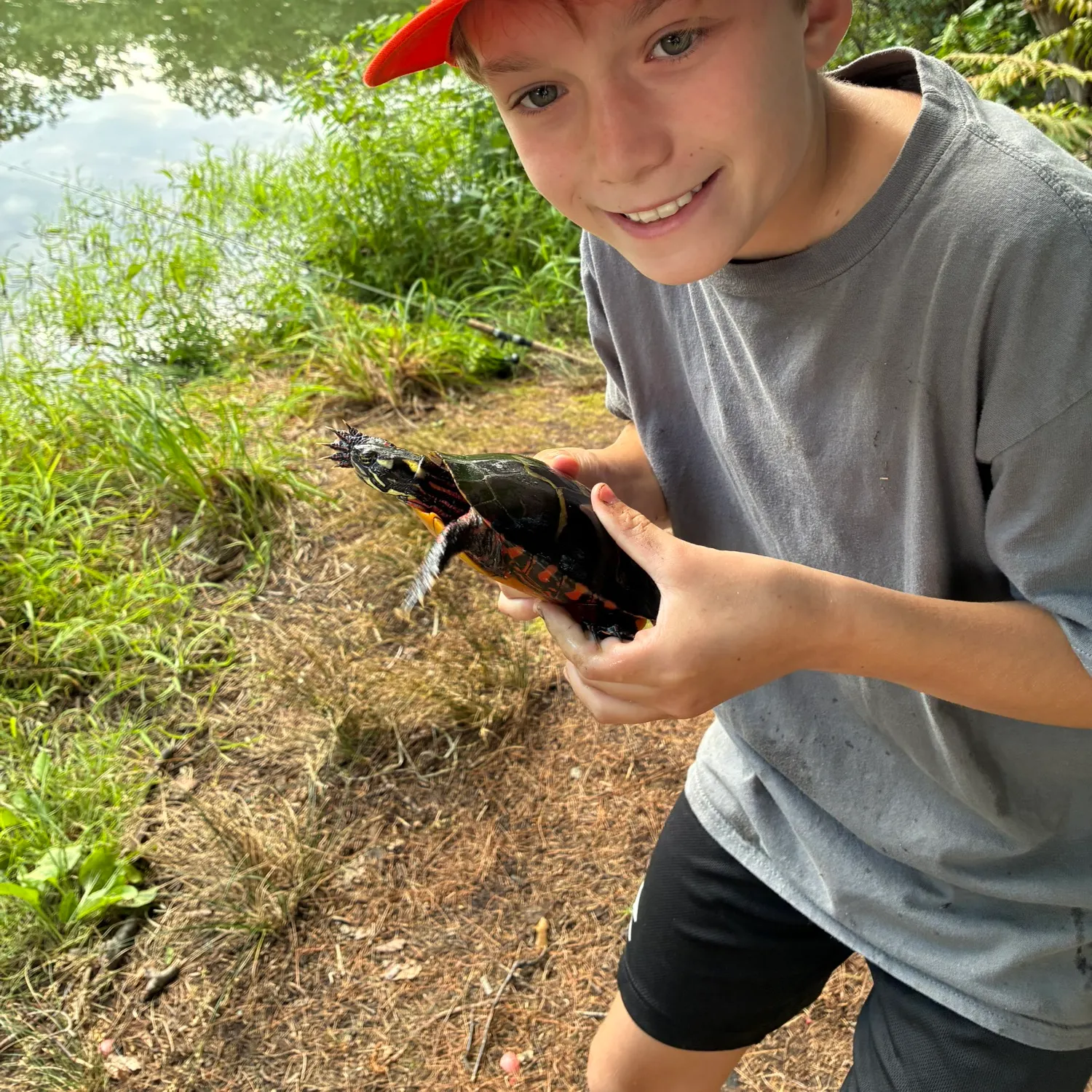 The most recent Texas cooter turtle catches on Fishbrain