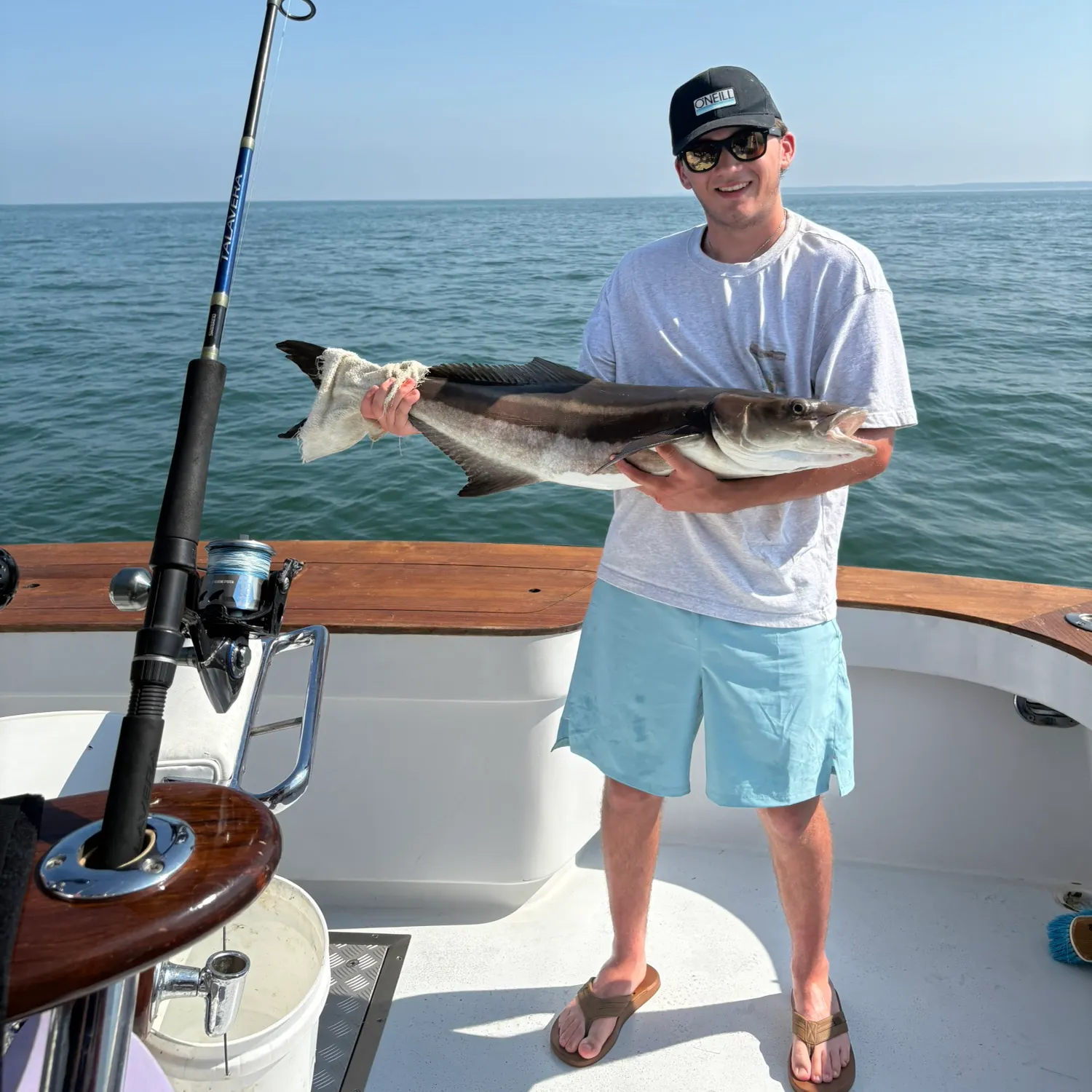 The most recent Cobia catches on Fishbrain
