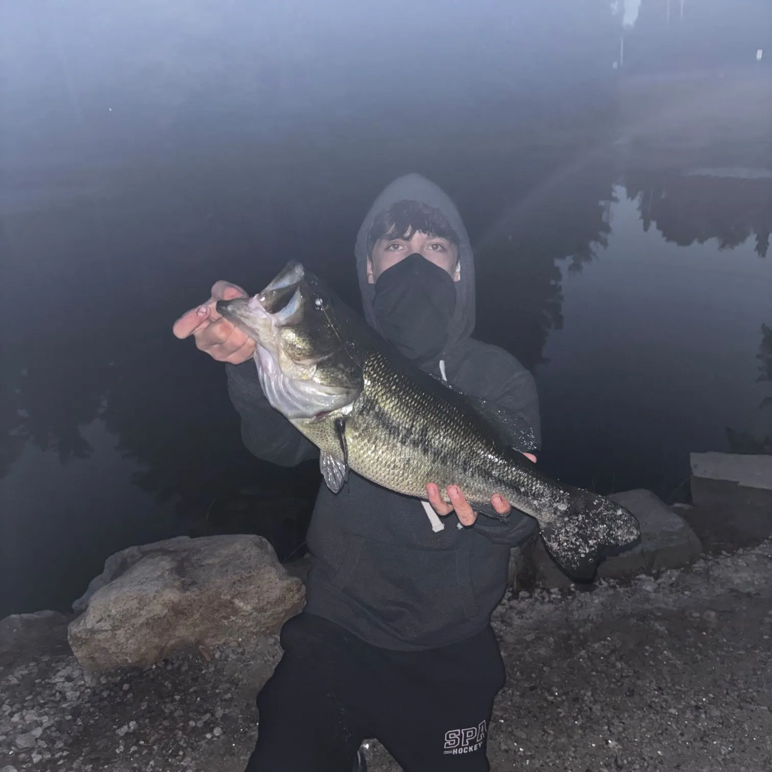 Largemouth bass caught on Fishbrain