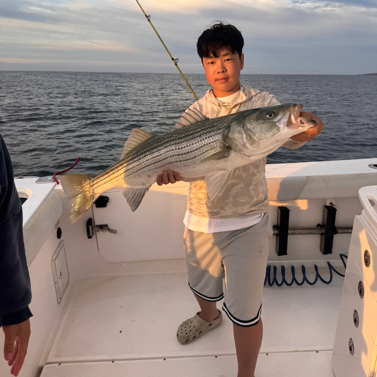 Striped bass caught on Fishbrain