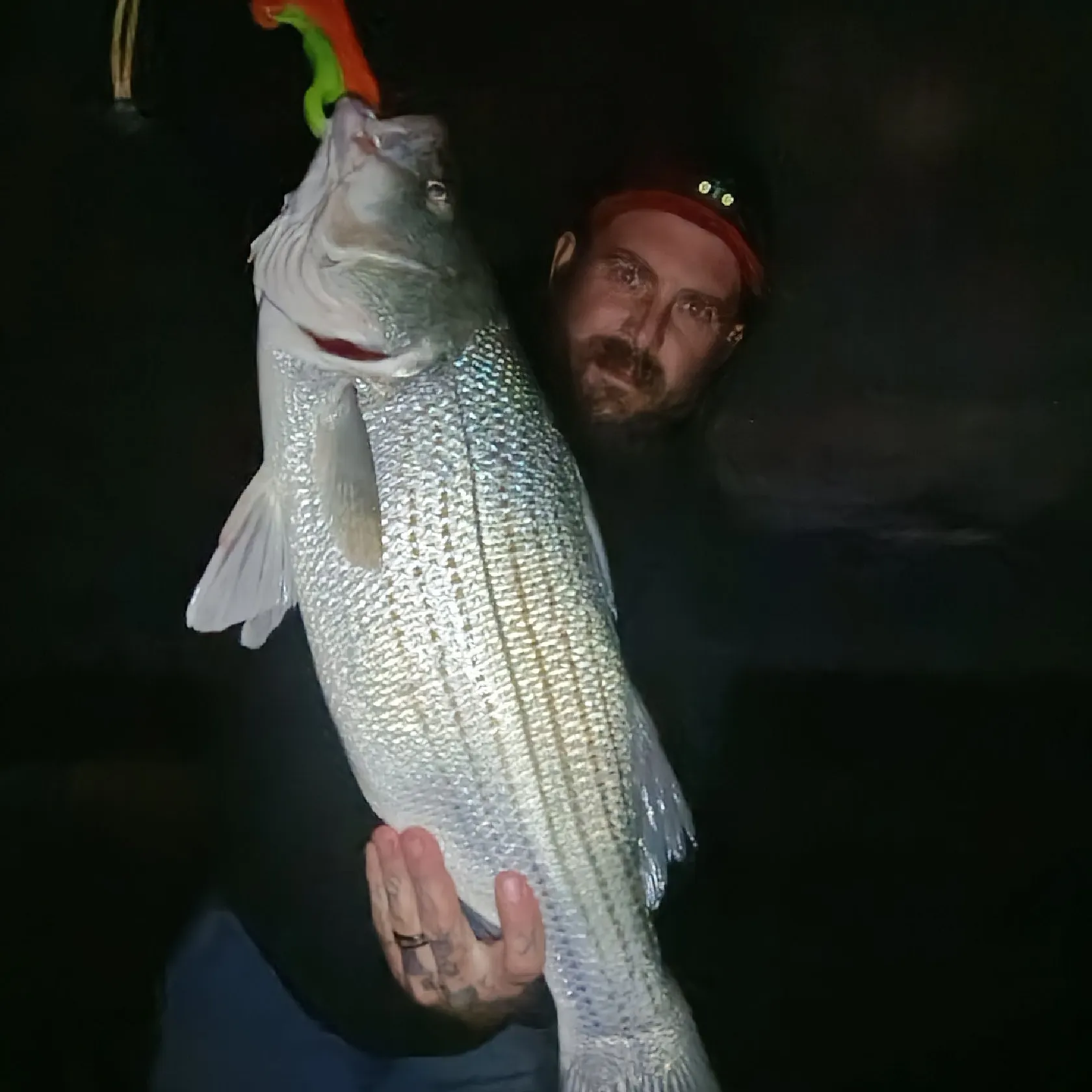 Wiper caught on Fishbrain