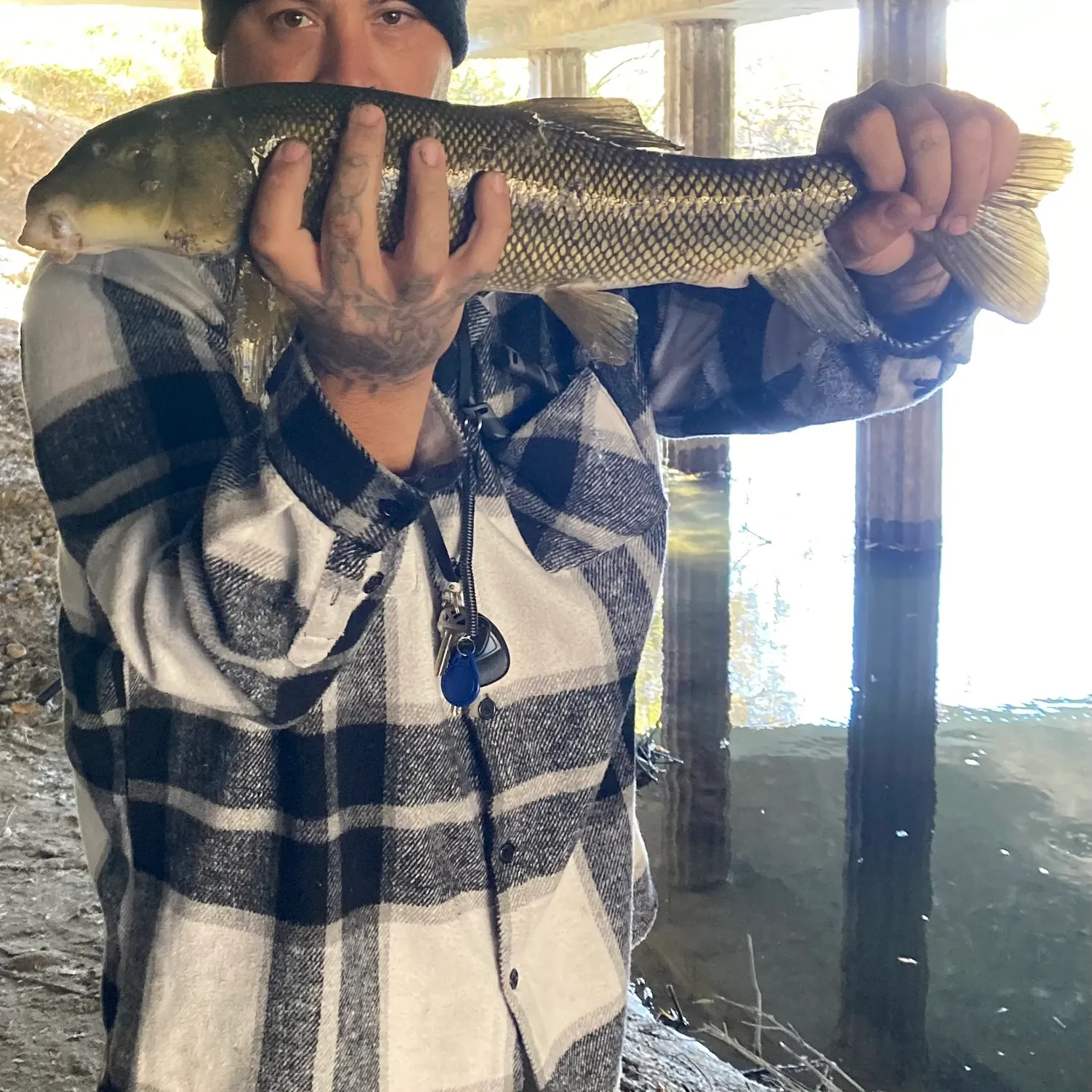 The most recent Utah sucker catches on Fishbrain