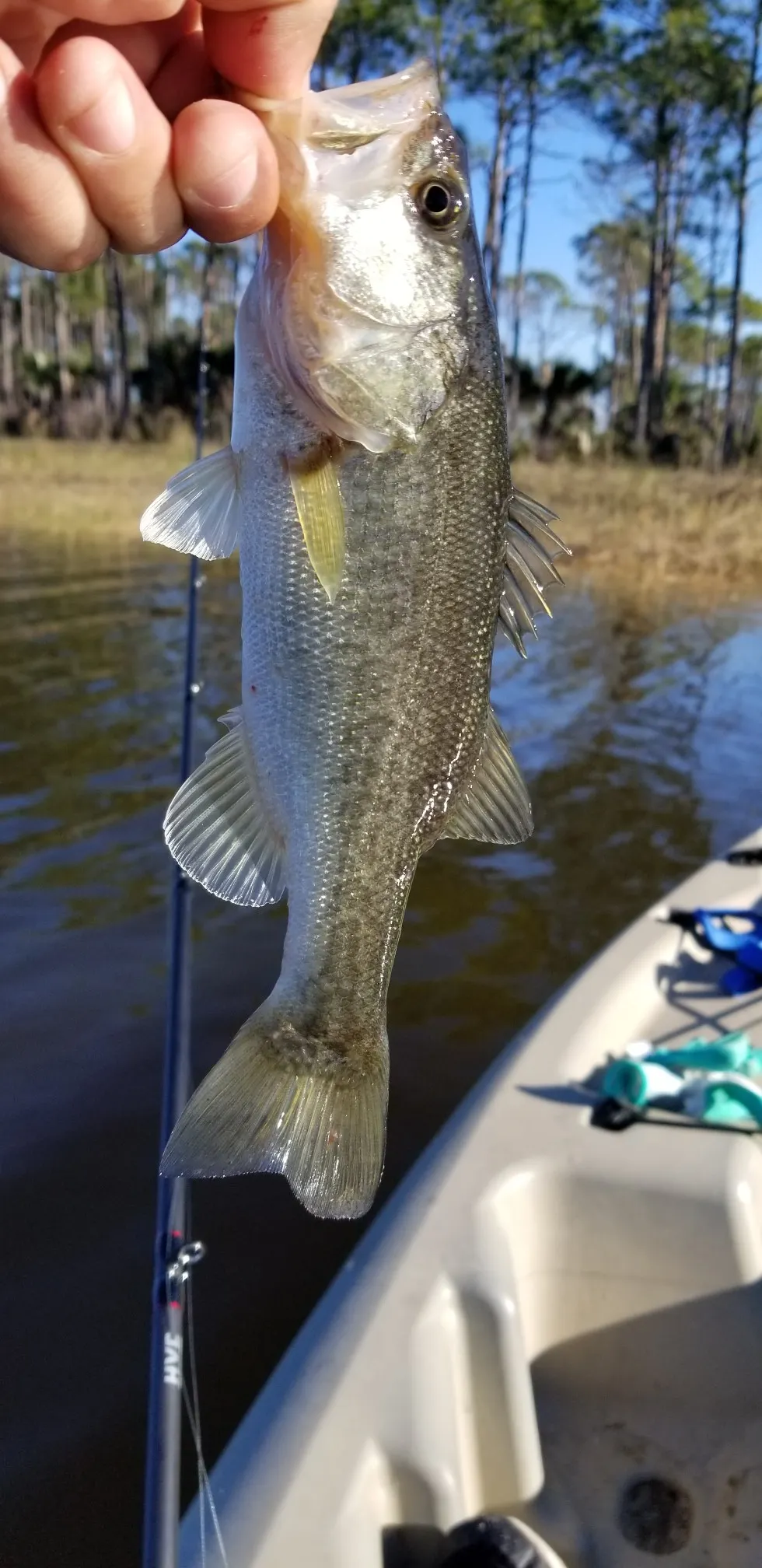 Post image from bassin-on-a-budget
