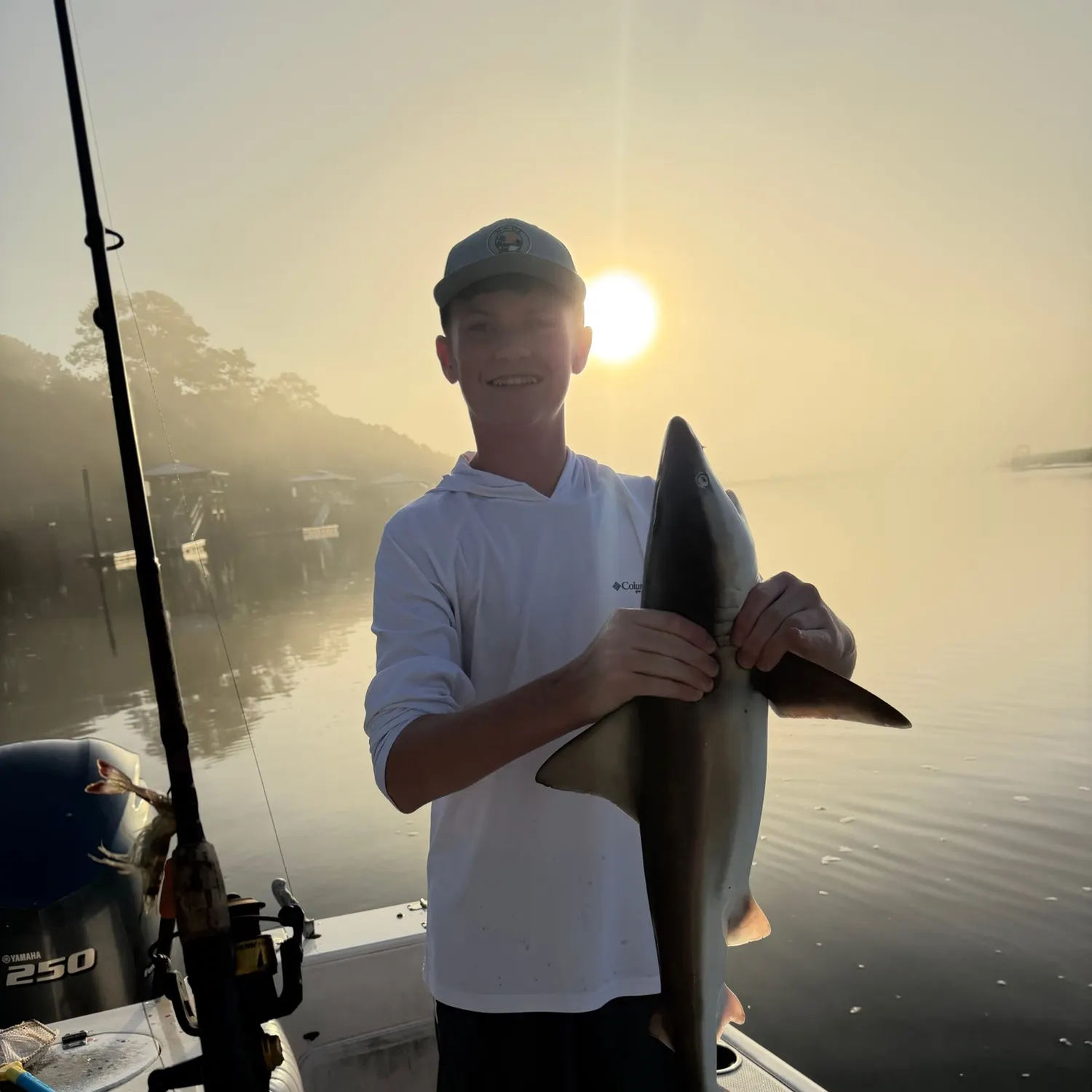 Blacktip shark caught on Fishbrain