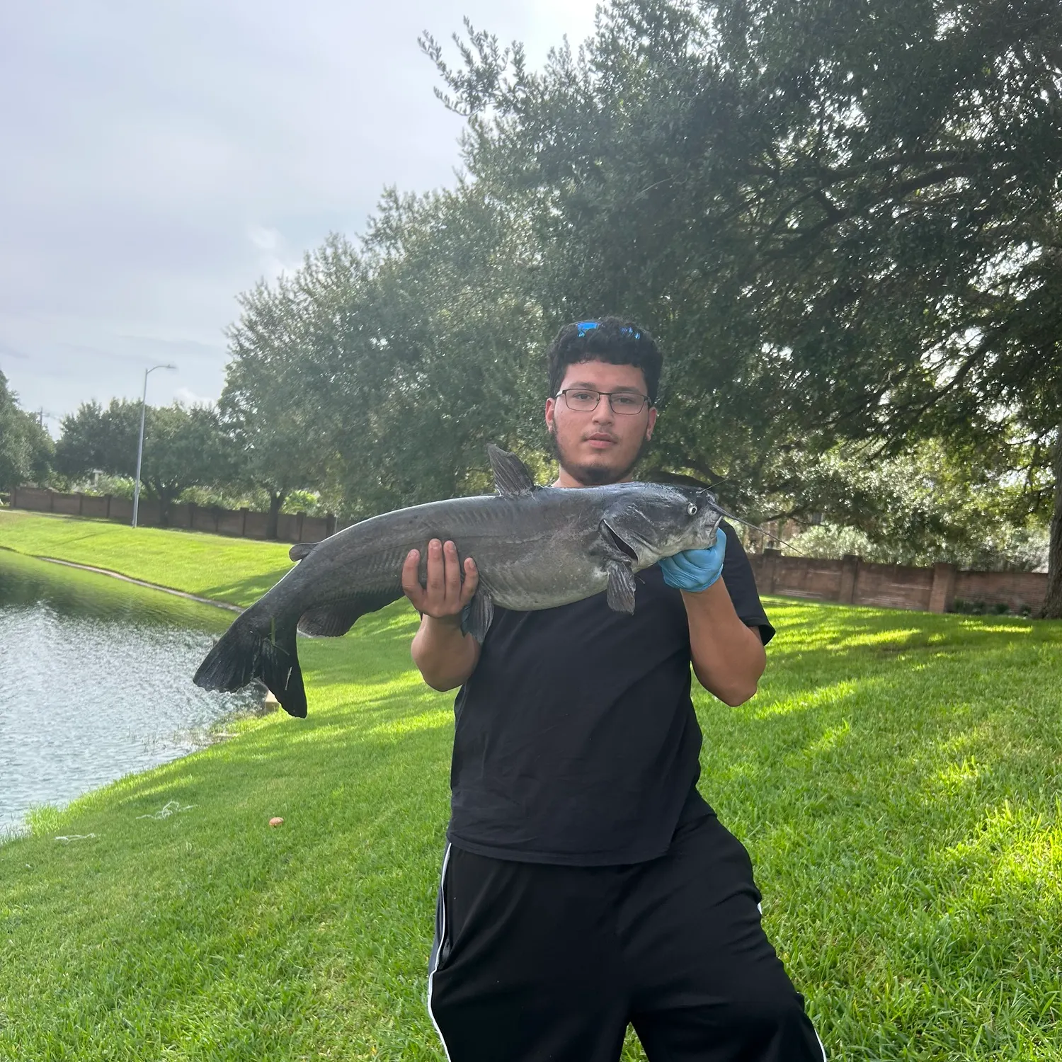 Blue catfish caught on Fishbrain