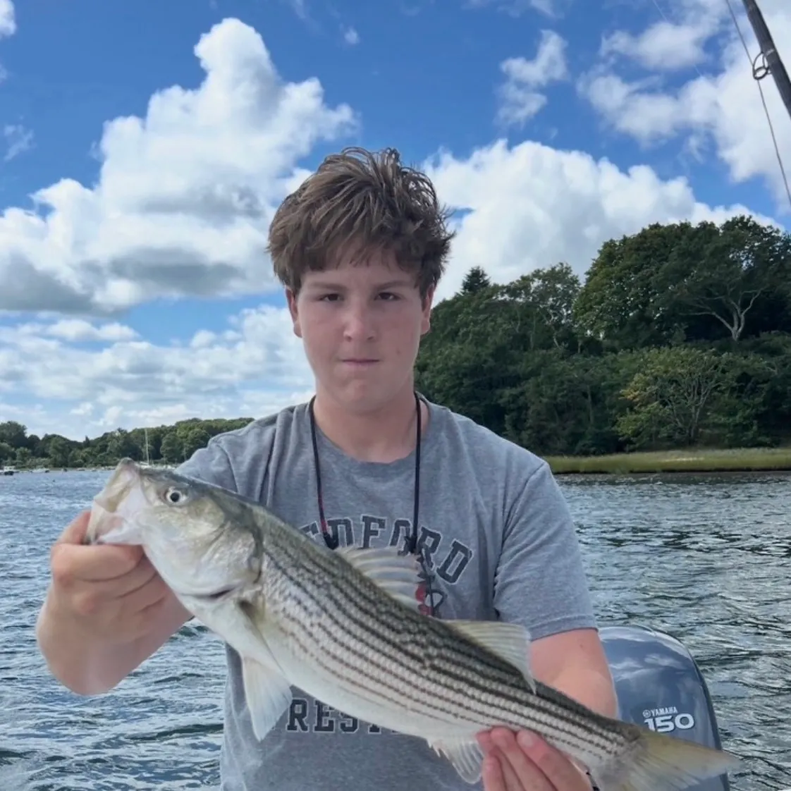 Striped bass caught on Fishbrain