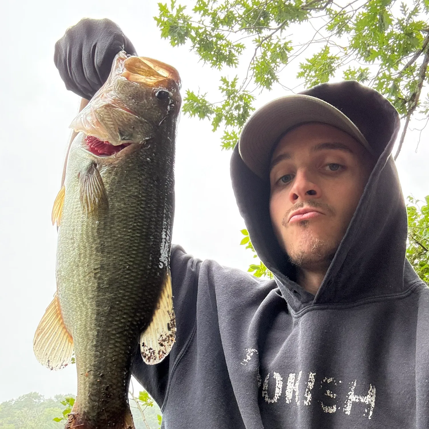 Largemouth bass caught on Fishbrain