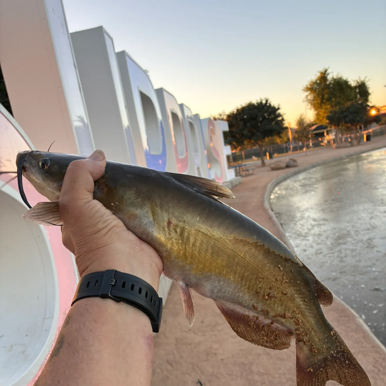 catch