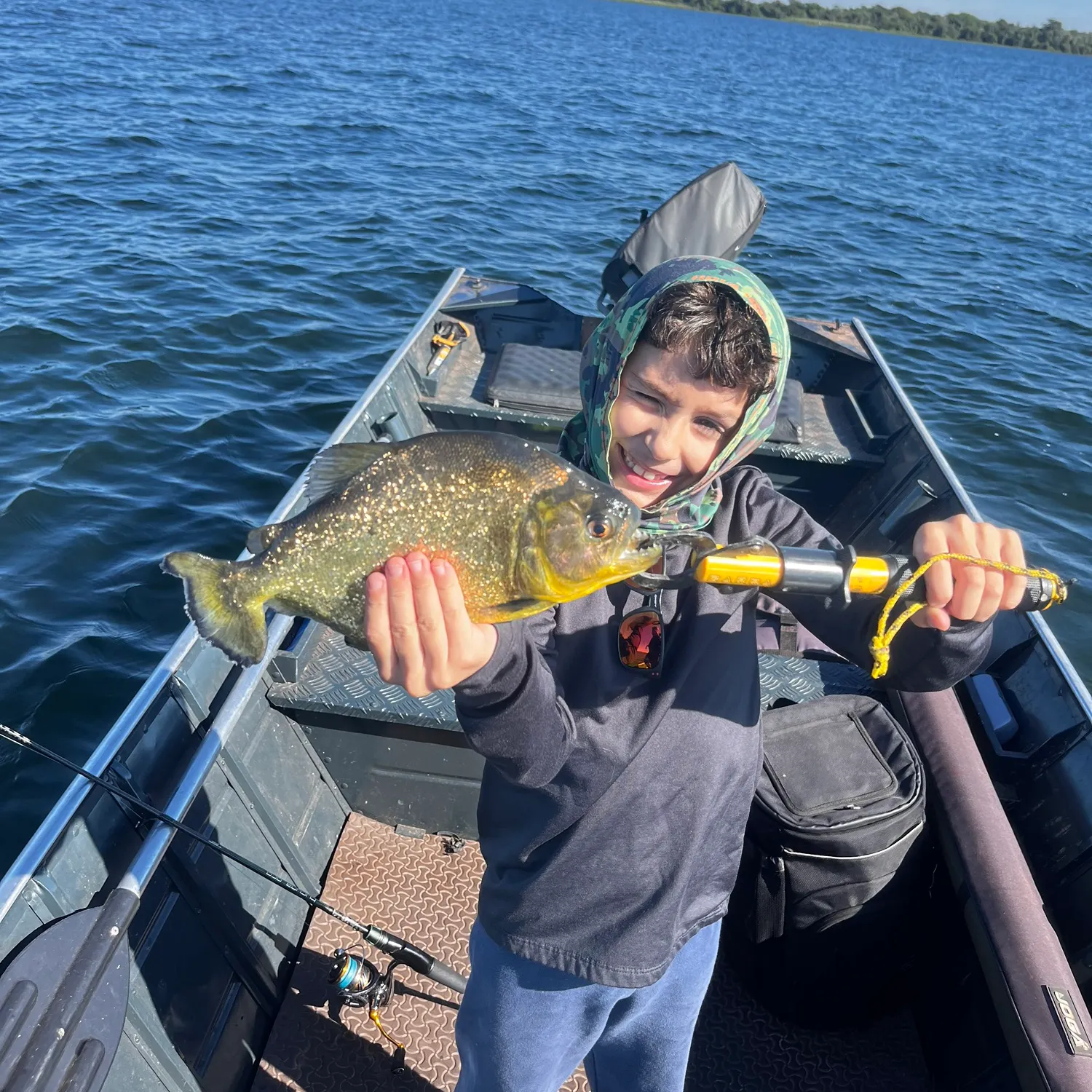 The most recent San Francisco piranha catches on Fishbrain