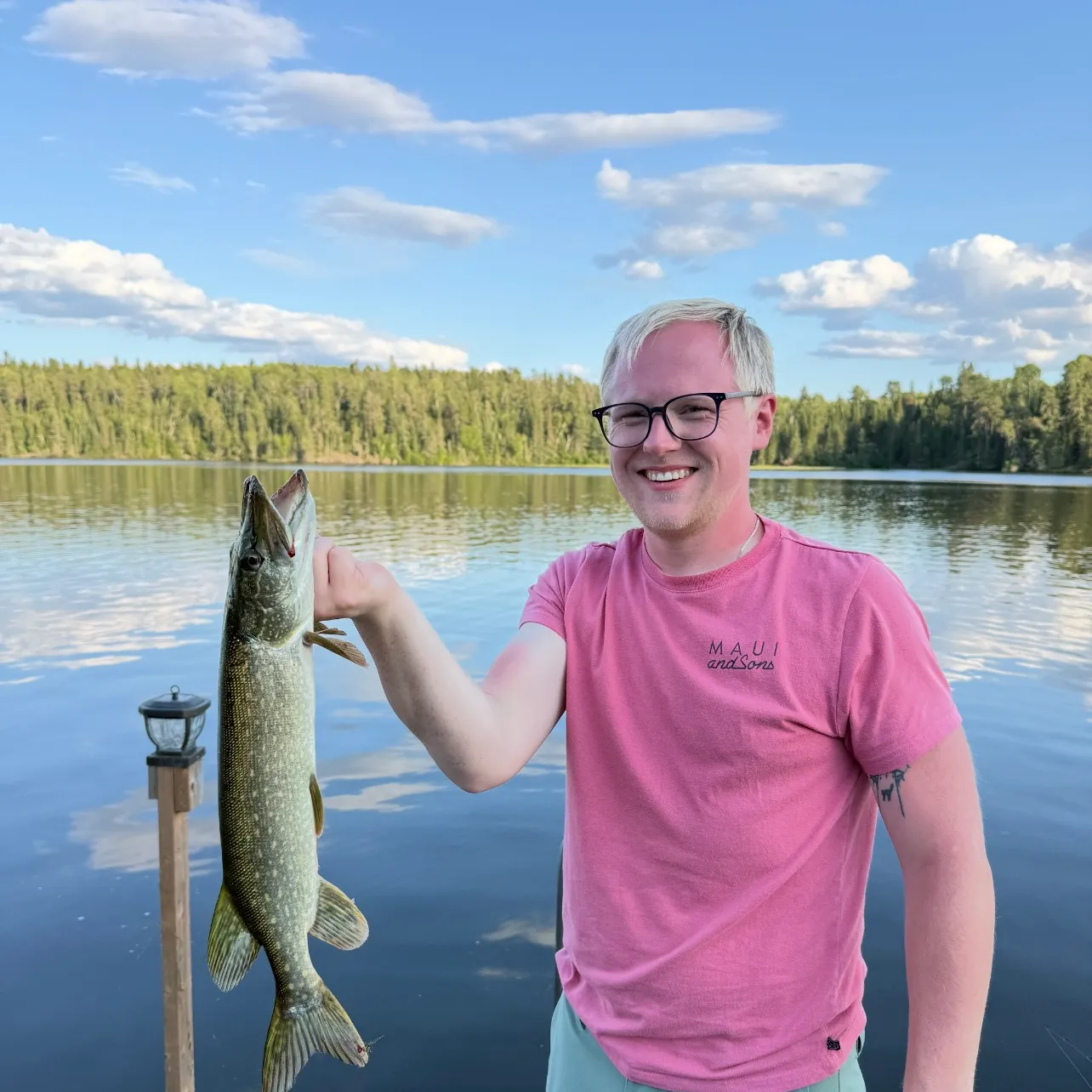 Northern pike caught on Fishbrain