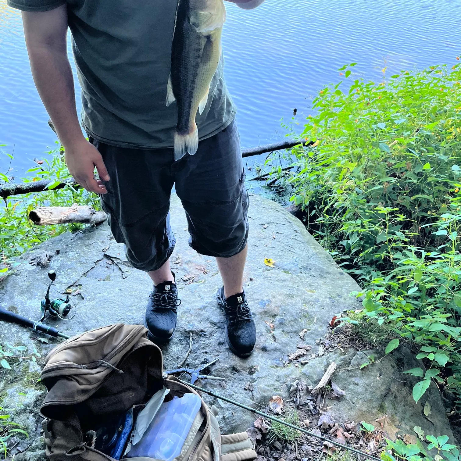 Largemouth bass caught on Fishbrain