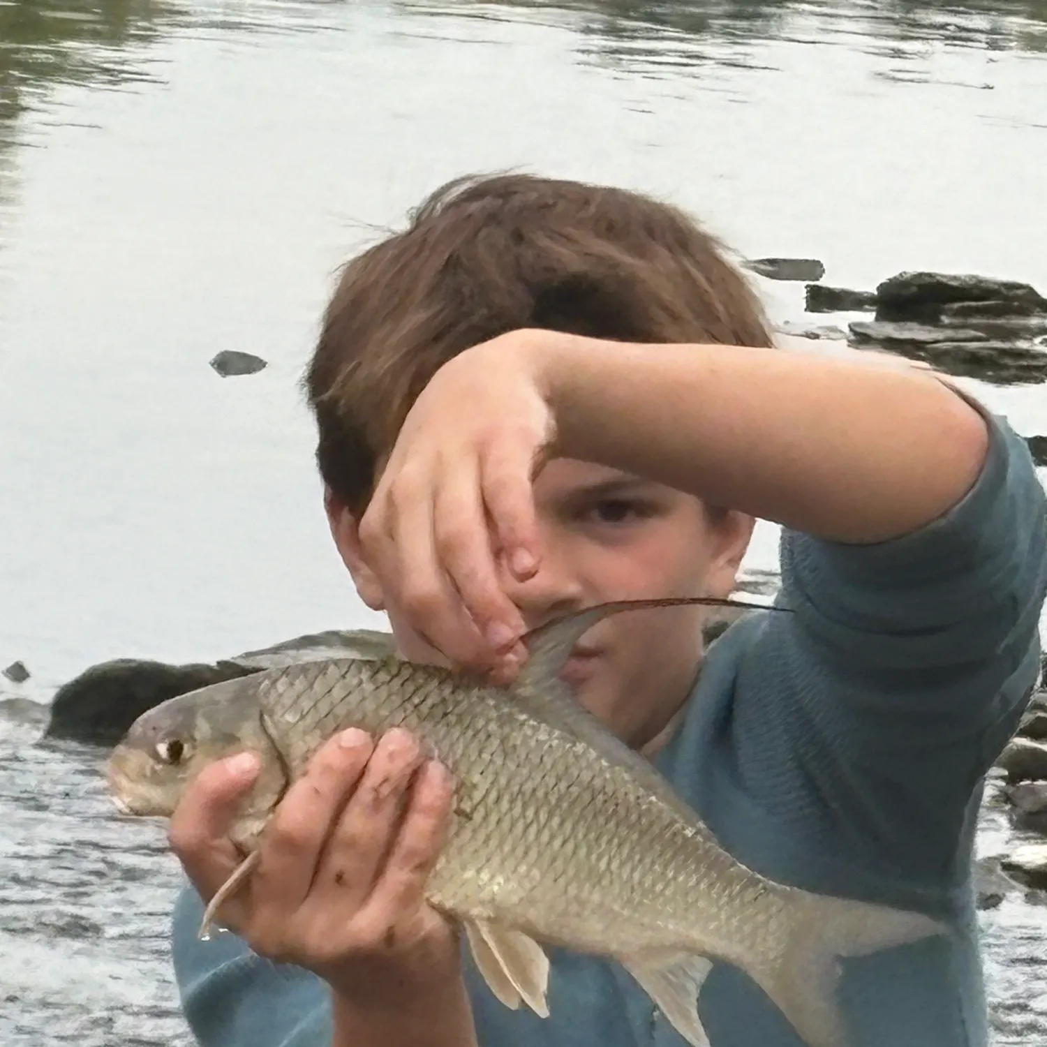 The most recent Quillback catches on Fishbrain