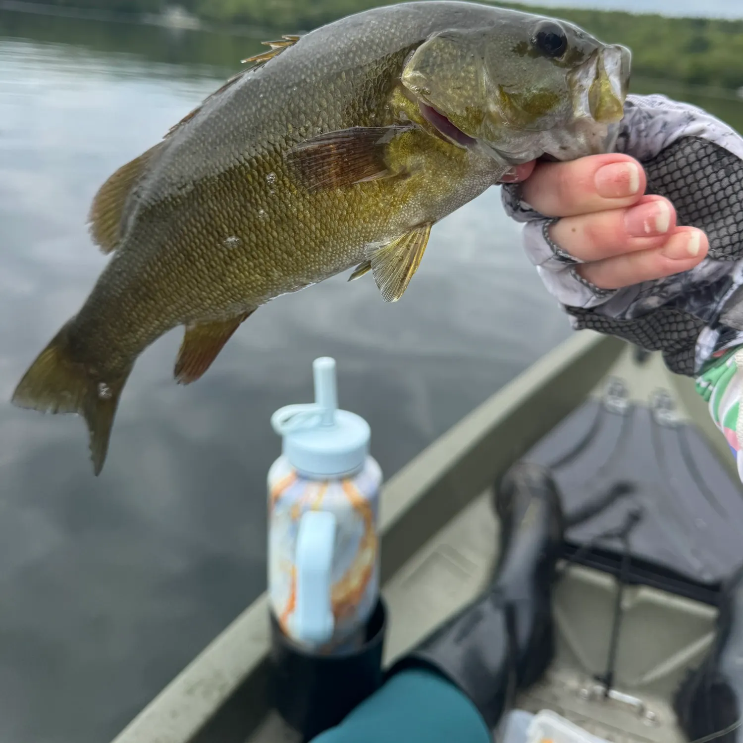 Smallmouth bass caught on Fishbrain