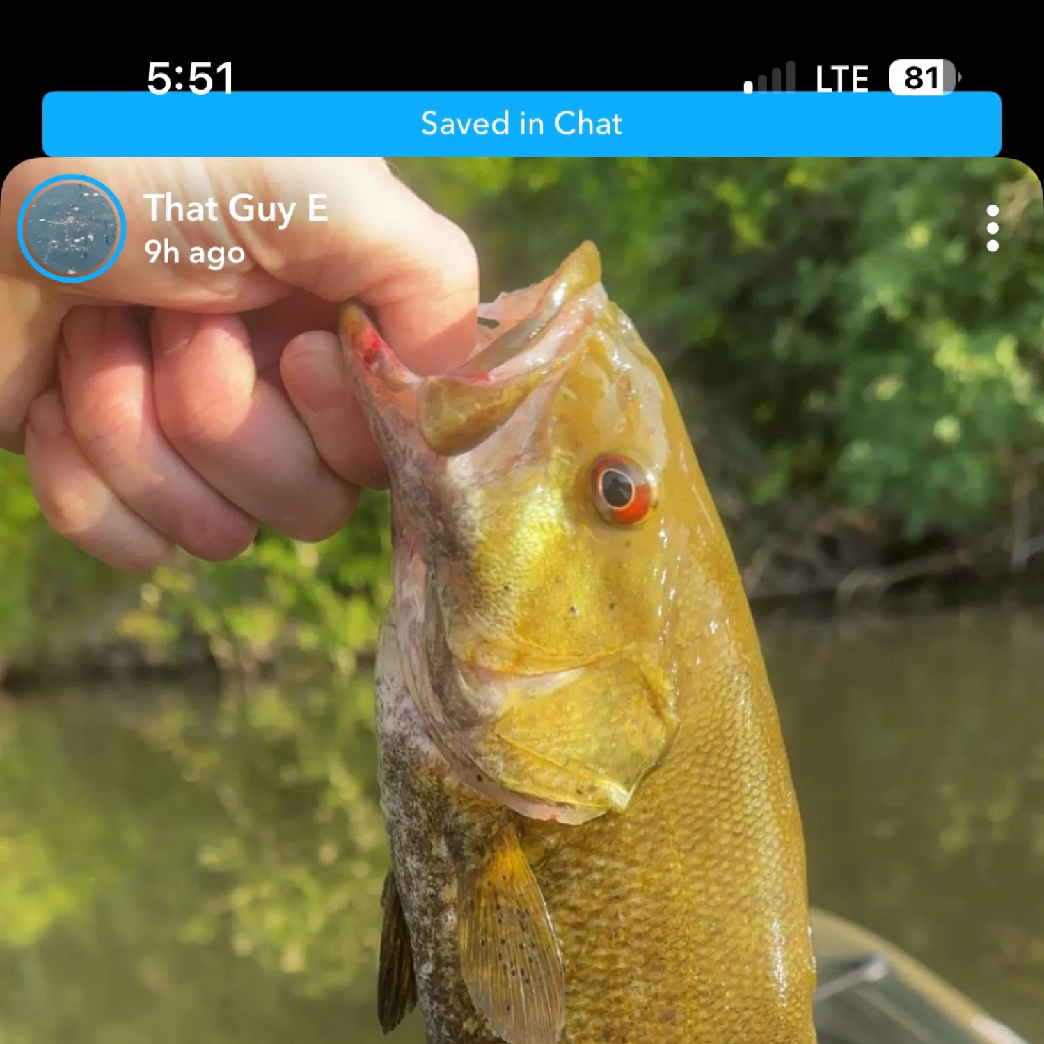 recently logged catches