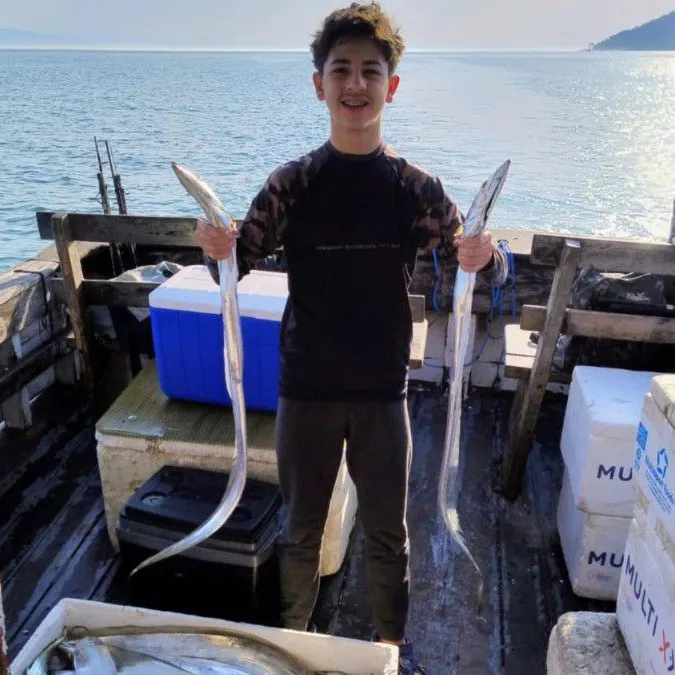 The most recent Silver scabbardfish catches on Fishbrain