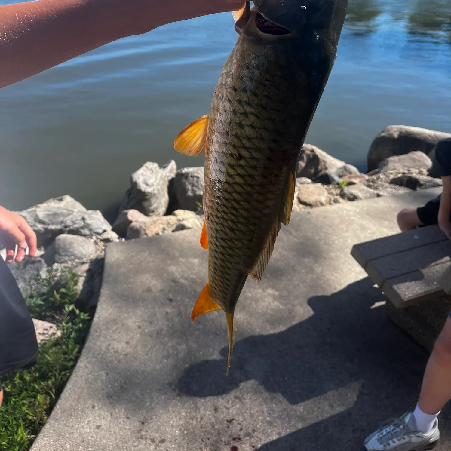 catch