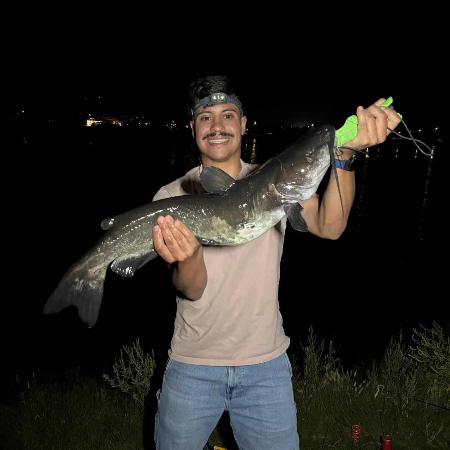 Channel catfish caught on Fishbrain