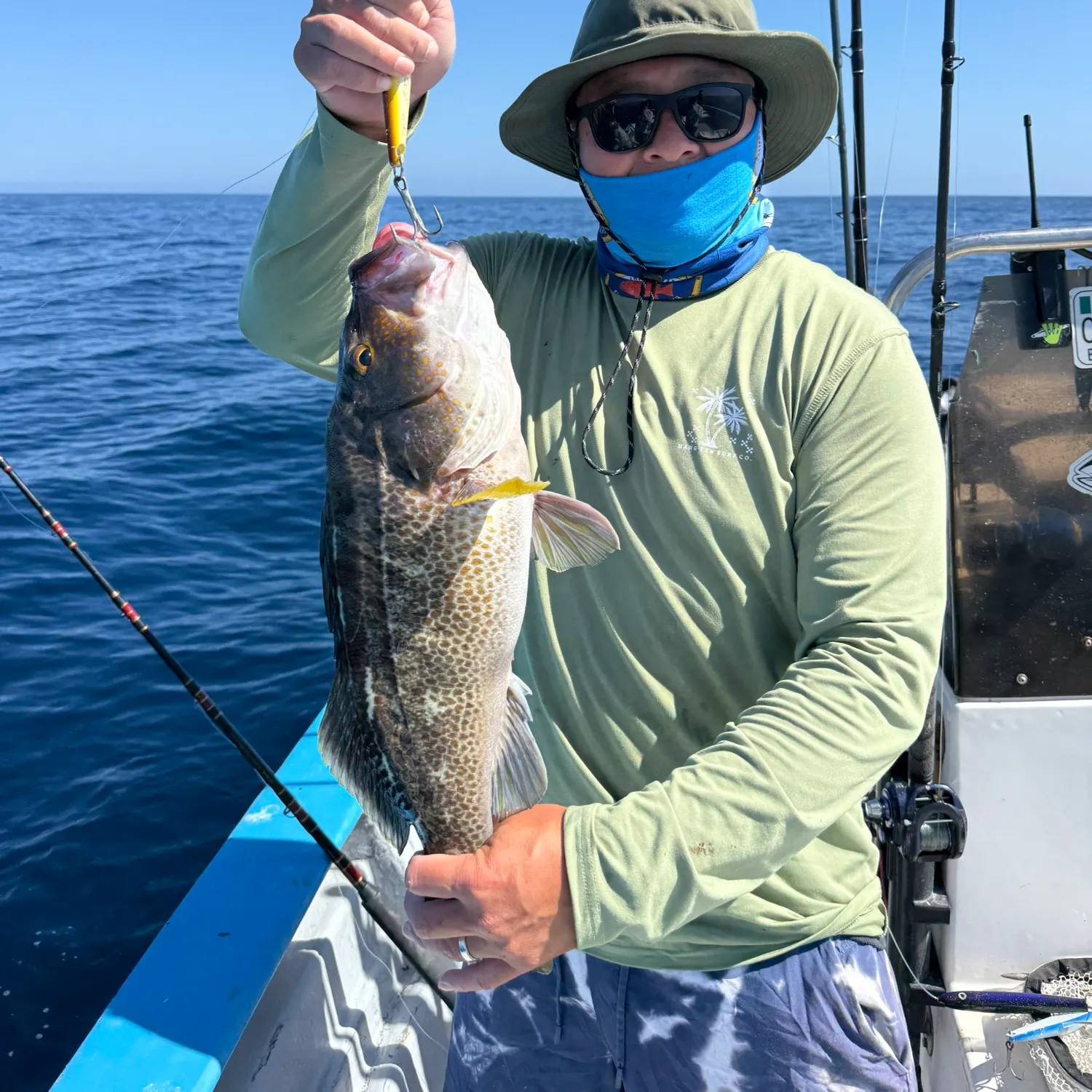 Spotted grouper caught on Fishbrain