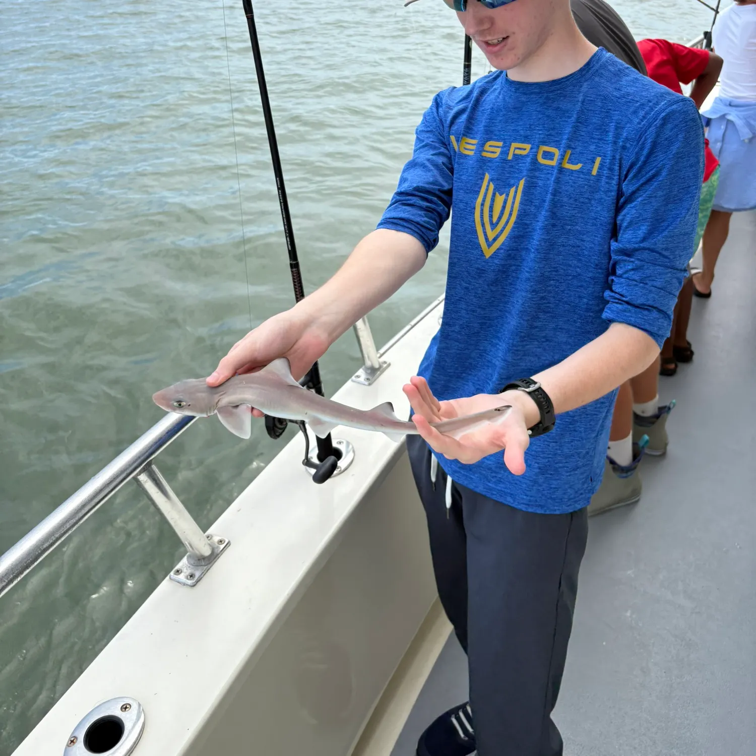 The most recent Piked dogfish catches on Fishbrain