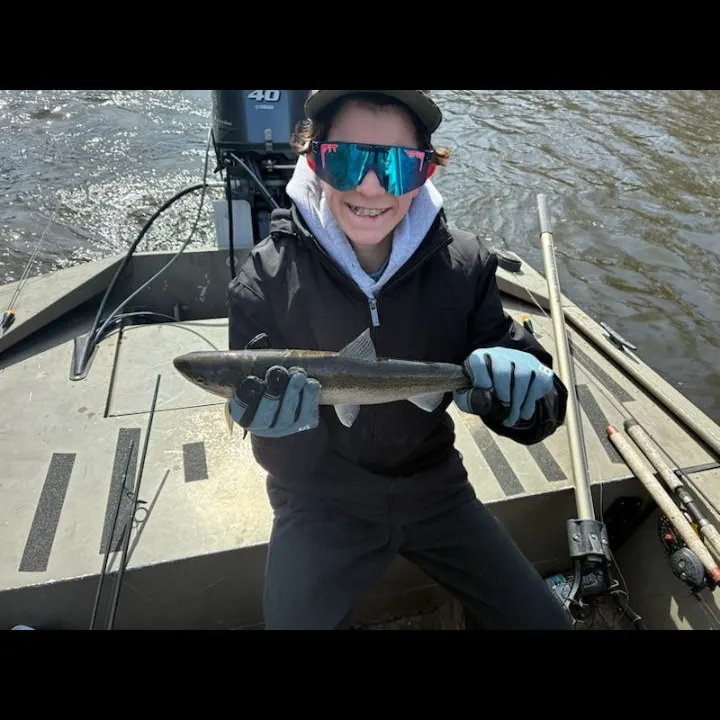 Steelhead caught on Fishbrain