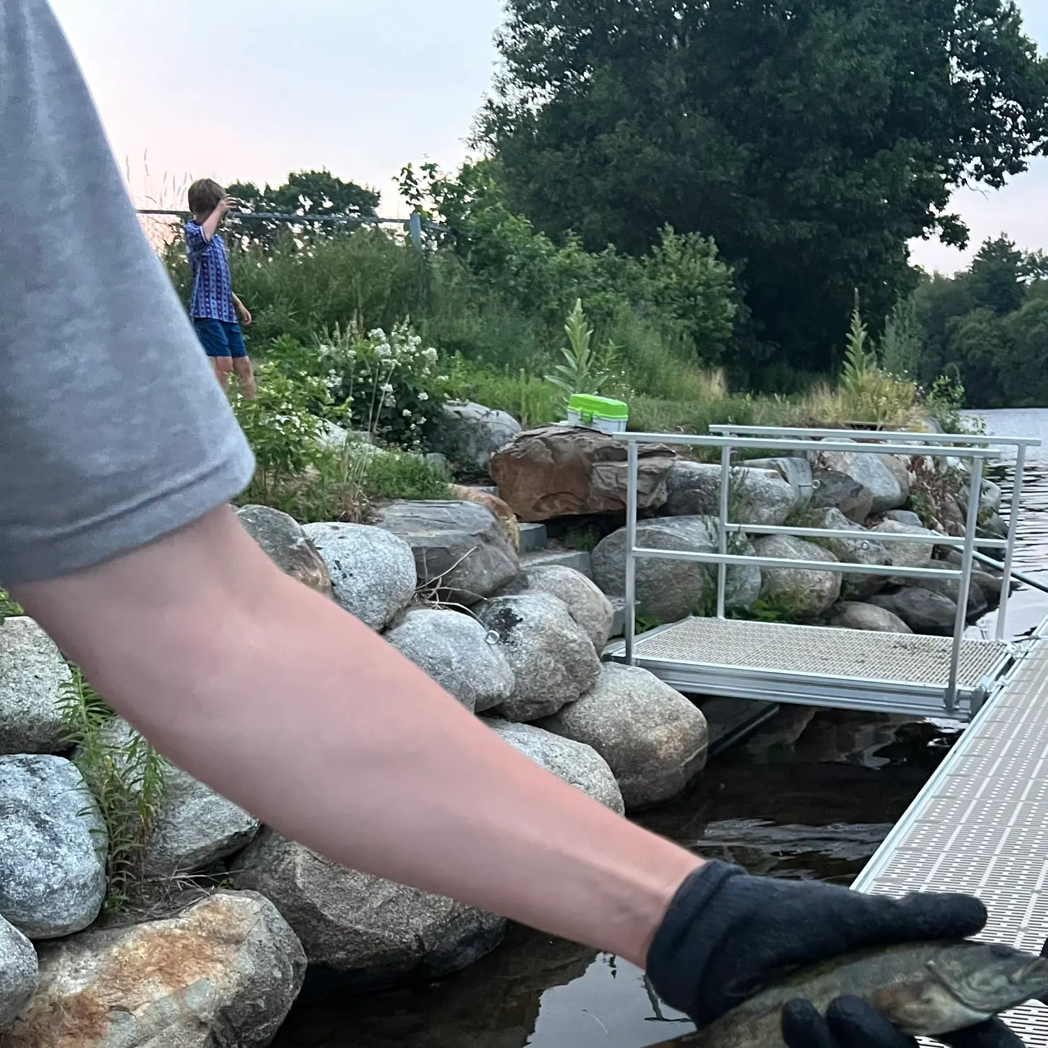 catch
