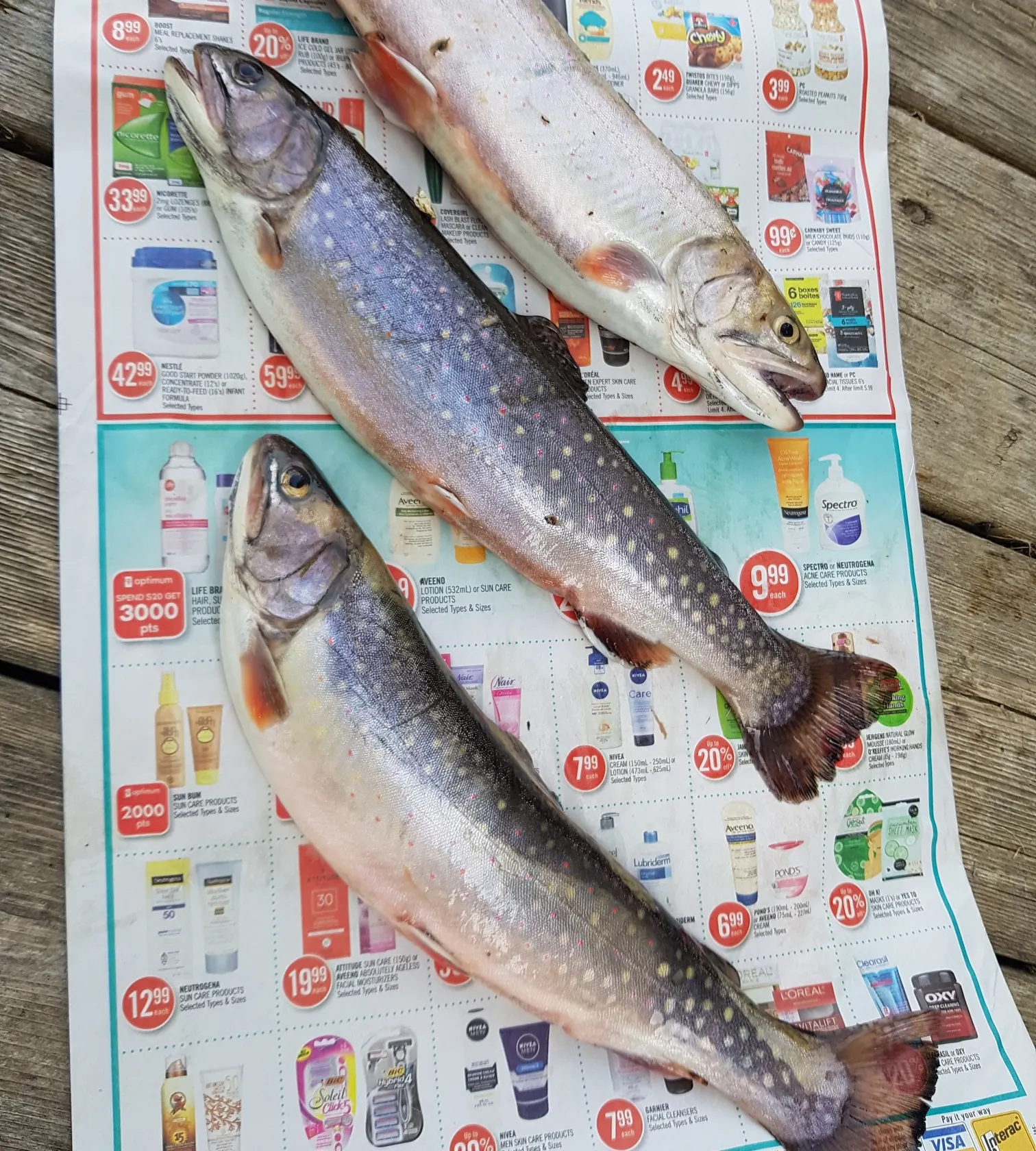 recently logged catches