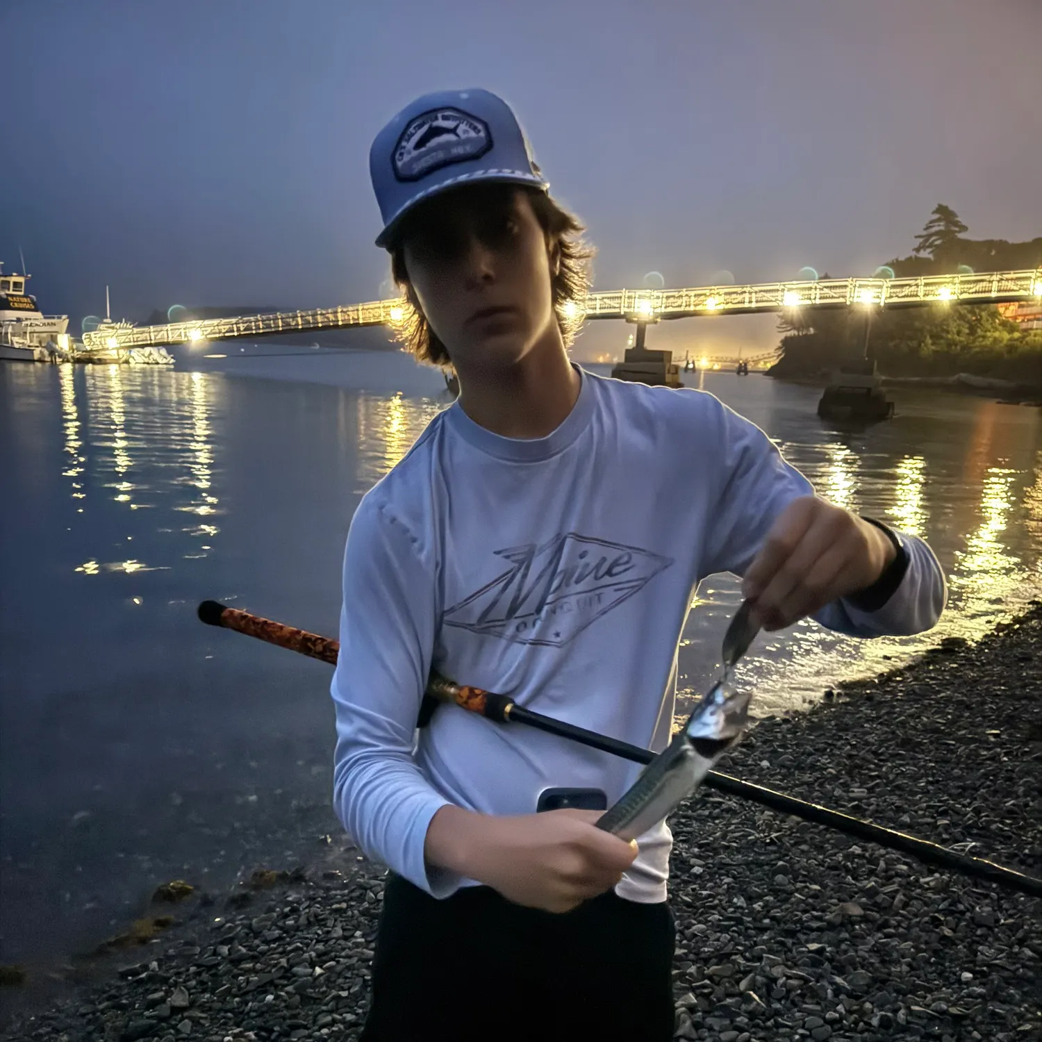 The most recent Atlantic mackerel catches on Fishbrain