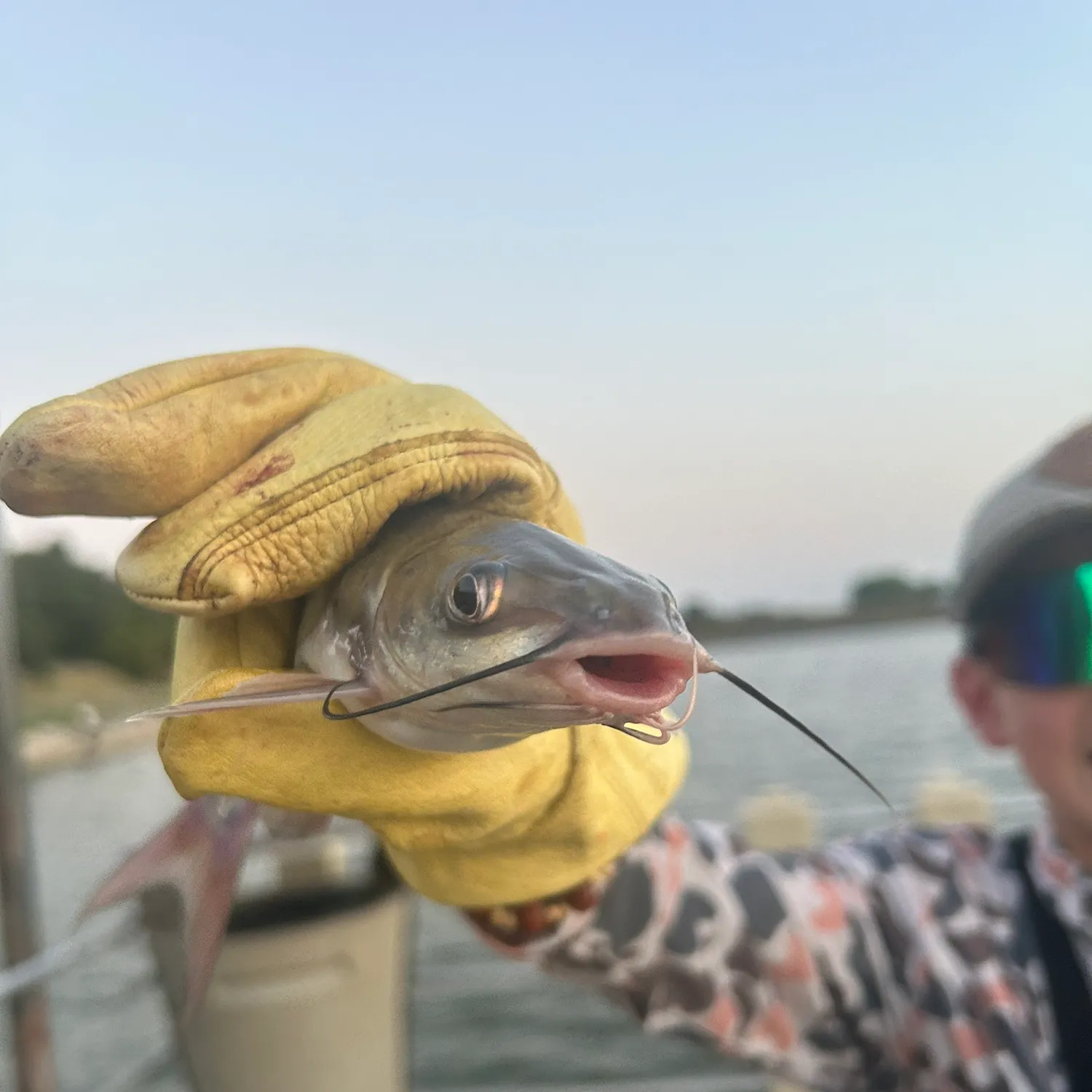 catch