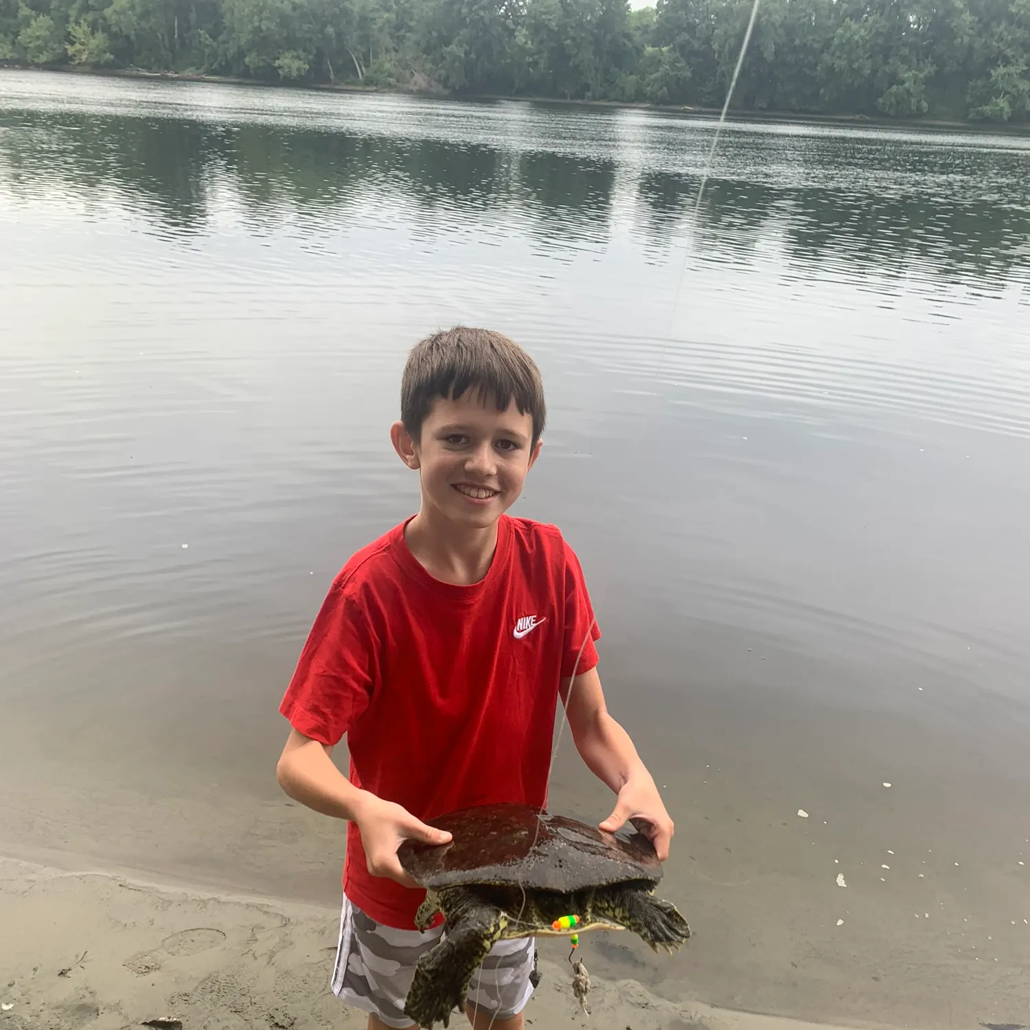 Spiny softshell turtle caught on Fishbrain