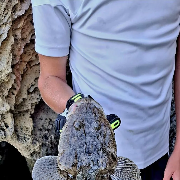 The most recent Bartail flathead catches on Fishbrain