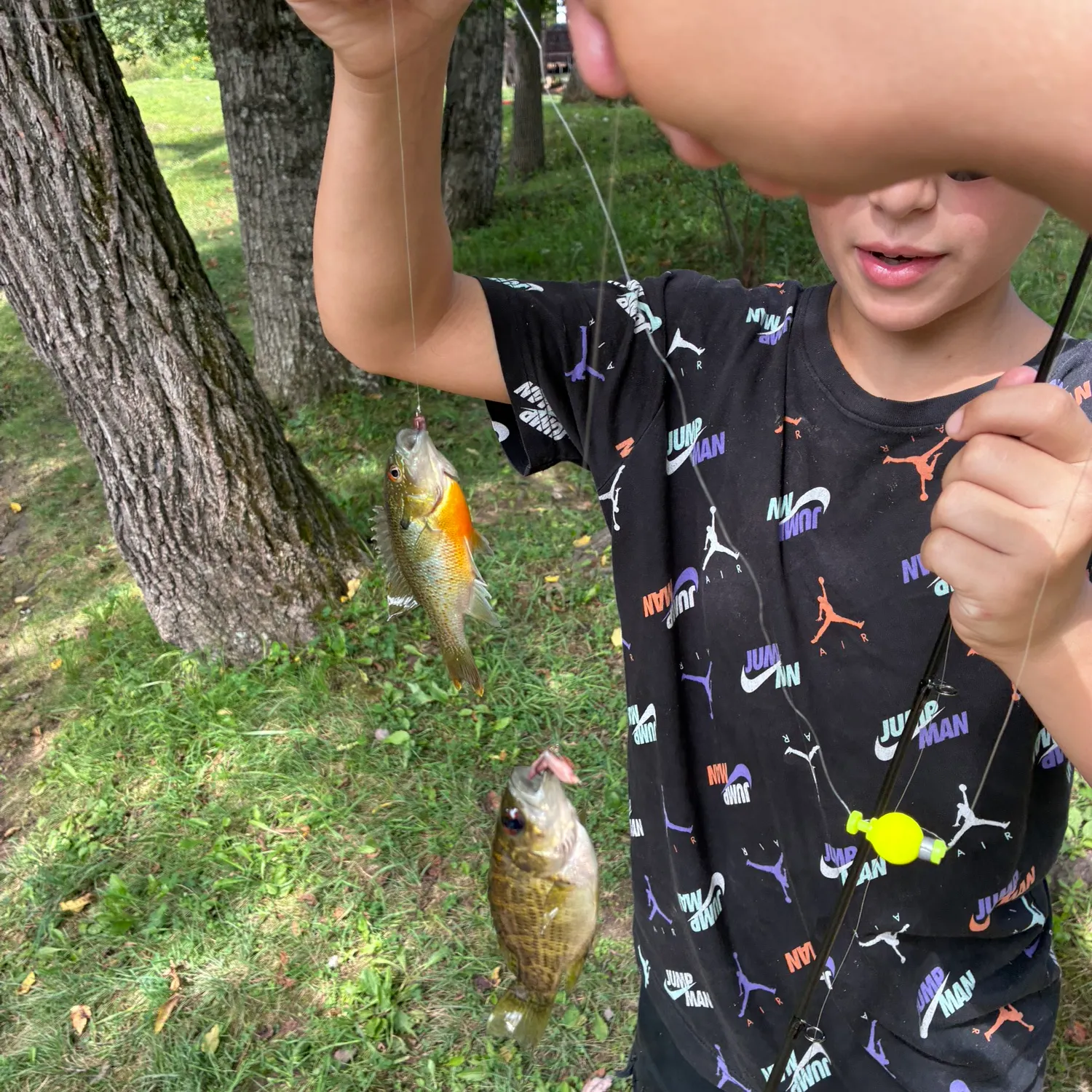Fish caught on Fishbrain