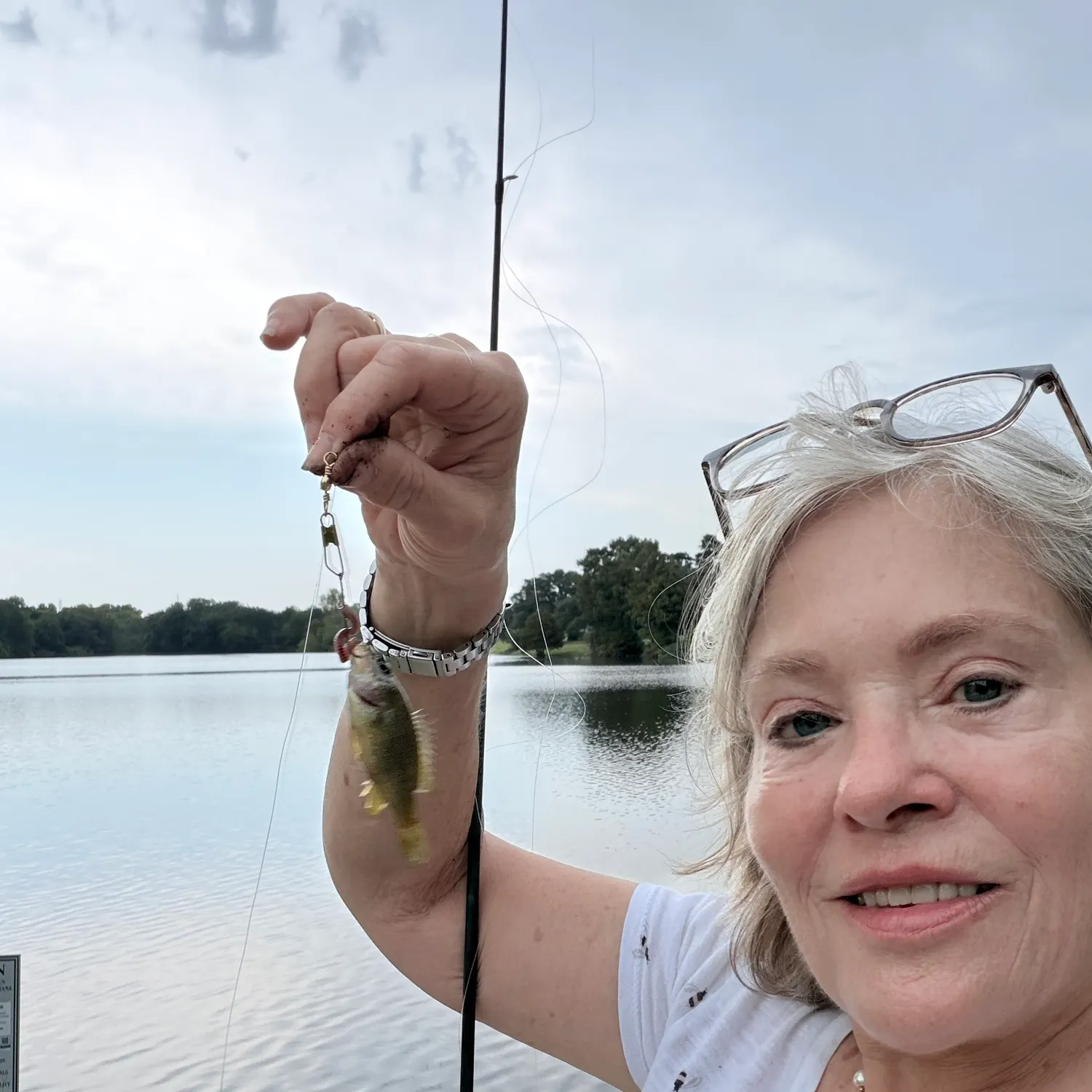 Green sunfish caught on Fishbrain