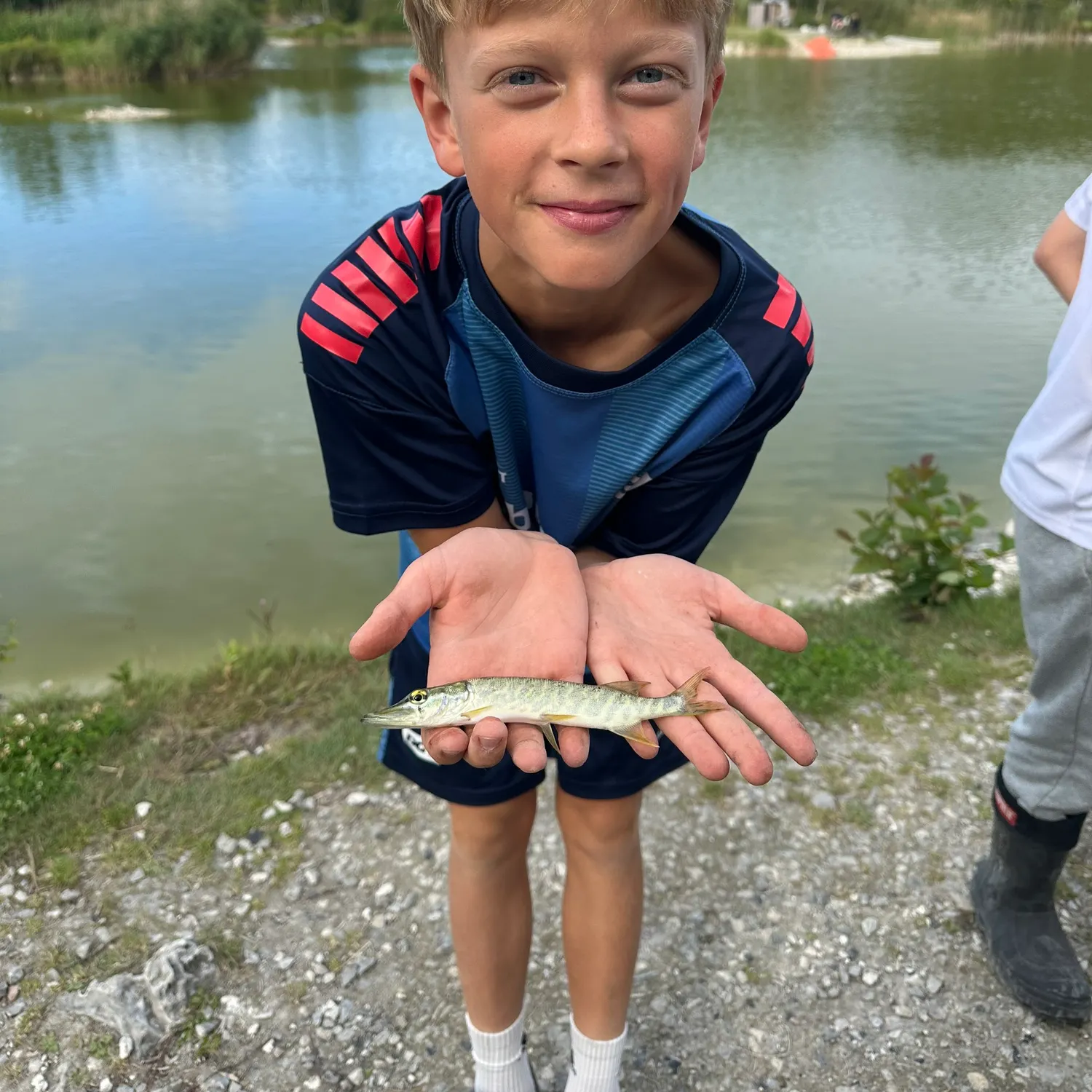 Northern pike caught on Fishbrain
