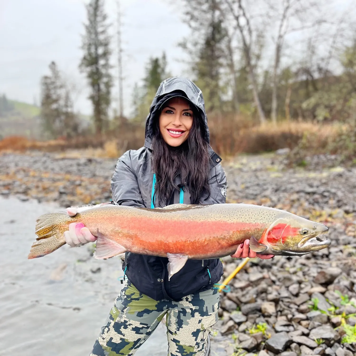The most recent Steelhead catches on Fishbrain