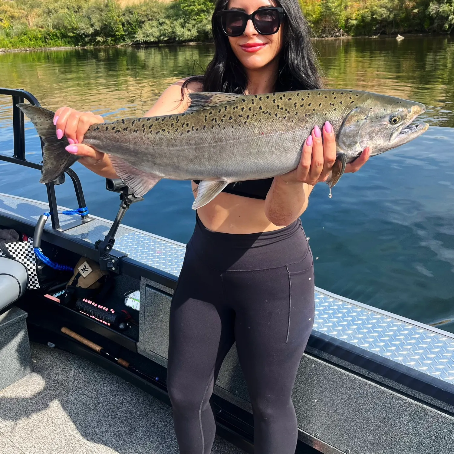 Chinook salmon caught on Fishbrain