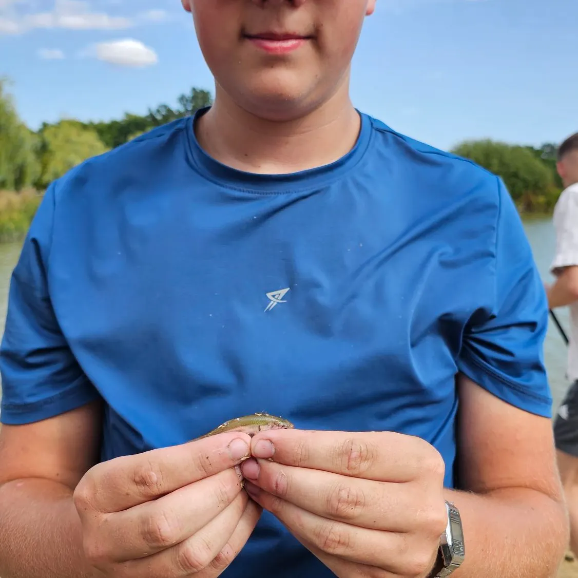 The most recent Silverjaw minnow catches on Fishbrain