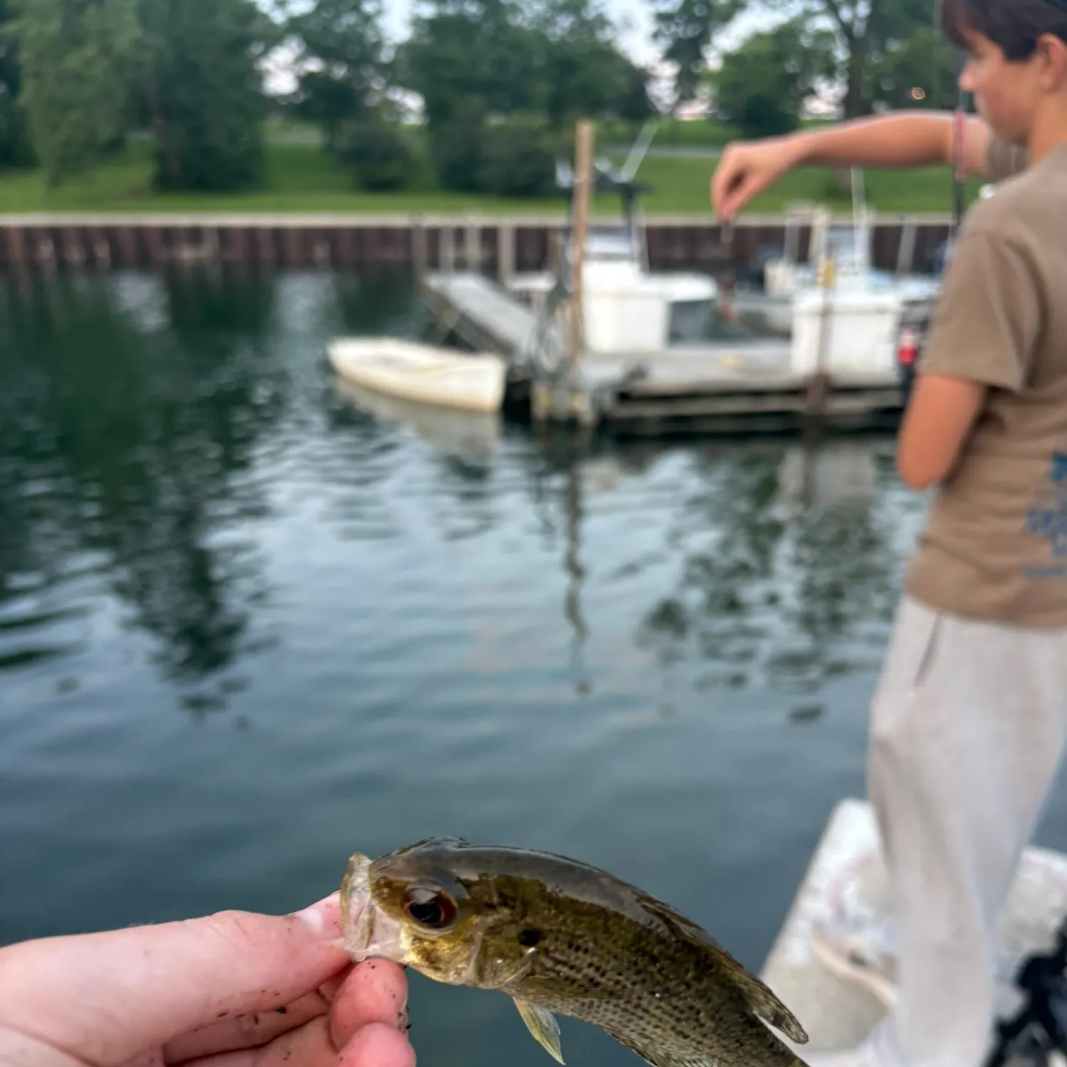catch