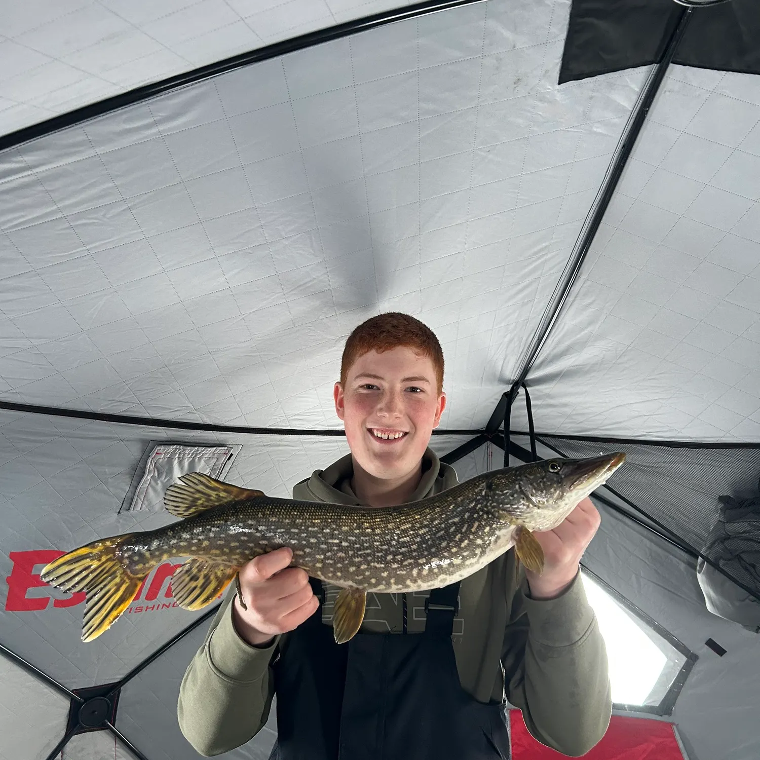 The most recent Northern pike catches on Fishbrain