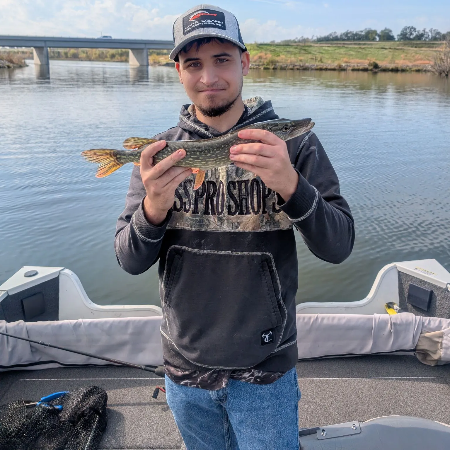 Northern pike caught on Fishbrain