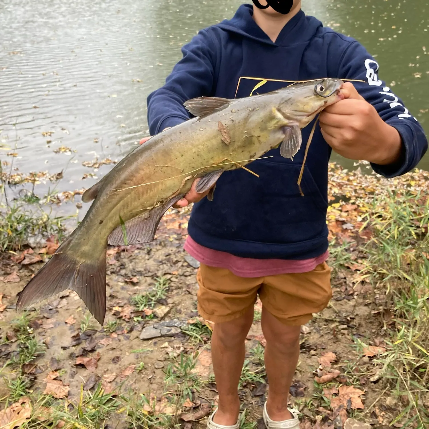 Channel catfish caught on Fishbrain