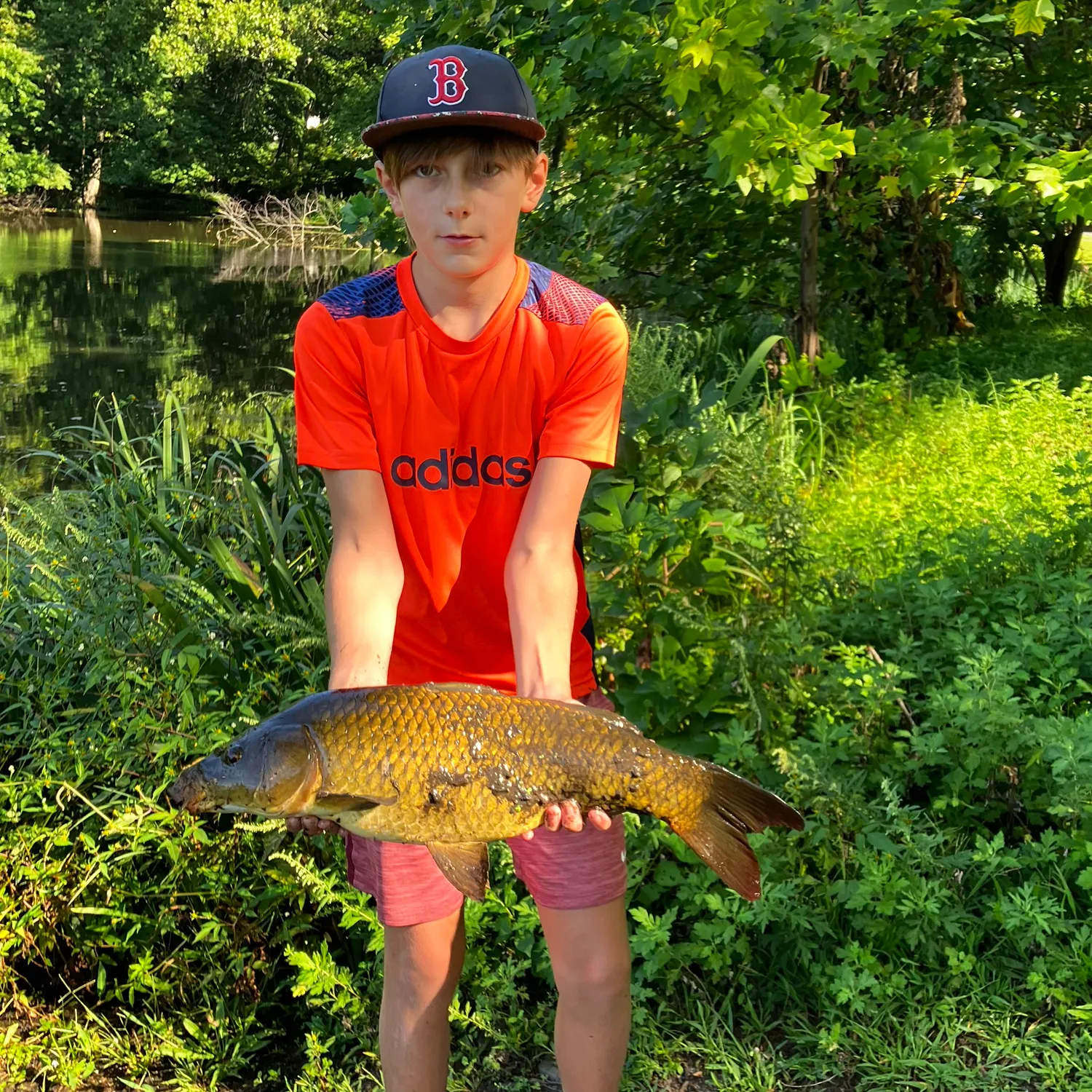 Common carp caught on Fishbrain