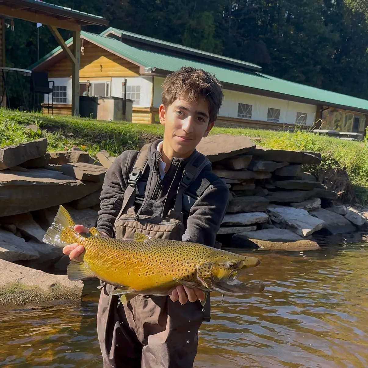 Brown trout caught on Fishbrain