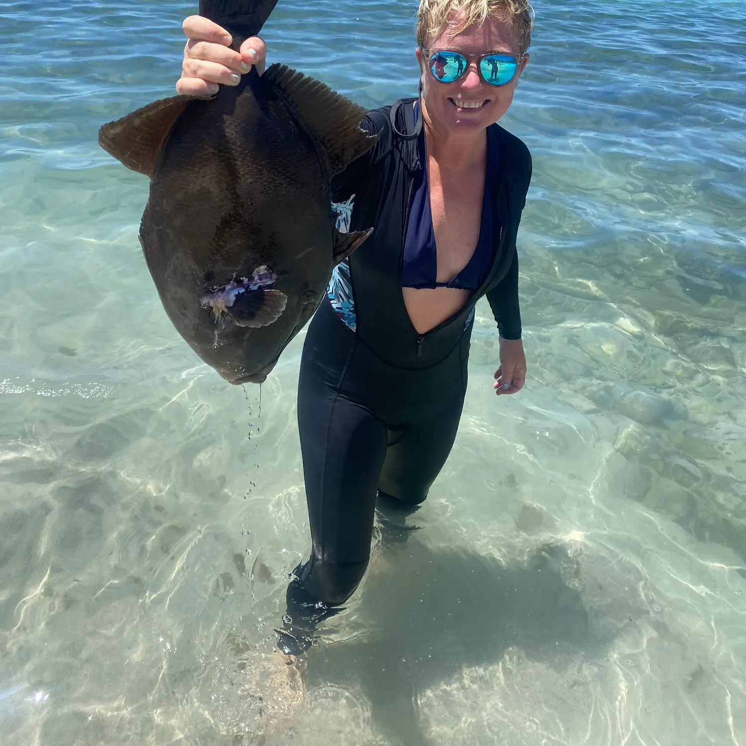 The most recent Finescale triggerfish catches on Fishbrain