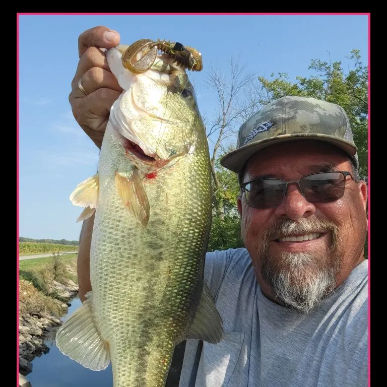 Largemouth bass caught on Fishbrain